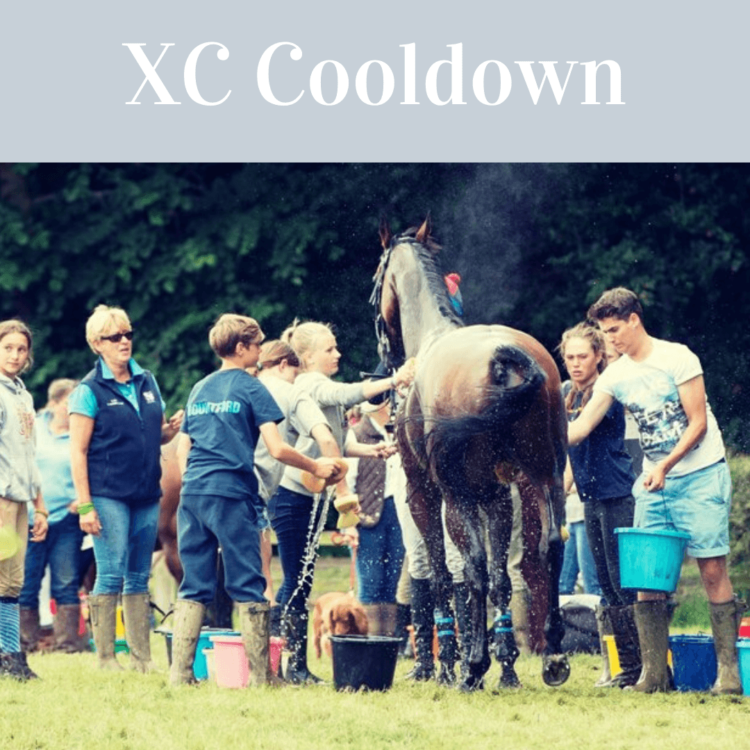 XC Cool Down Essentials