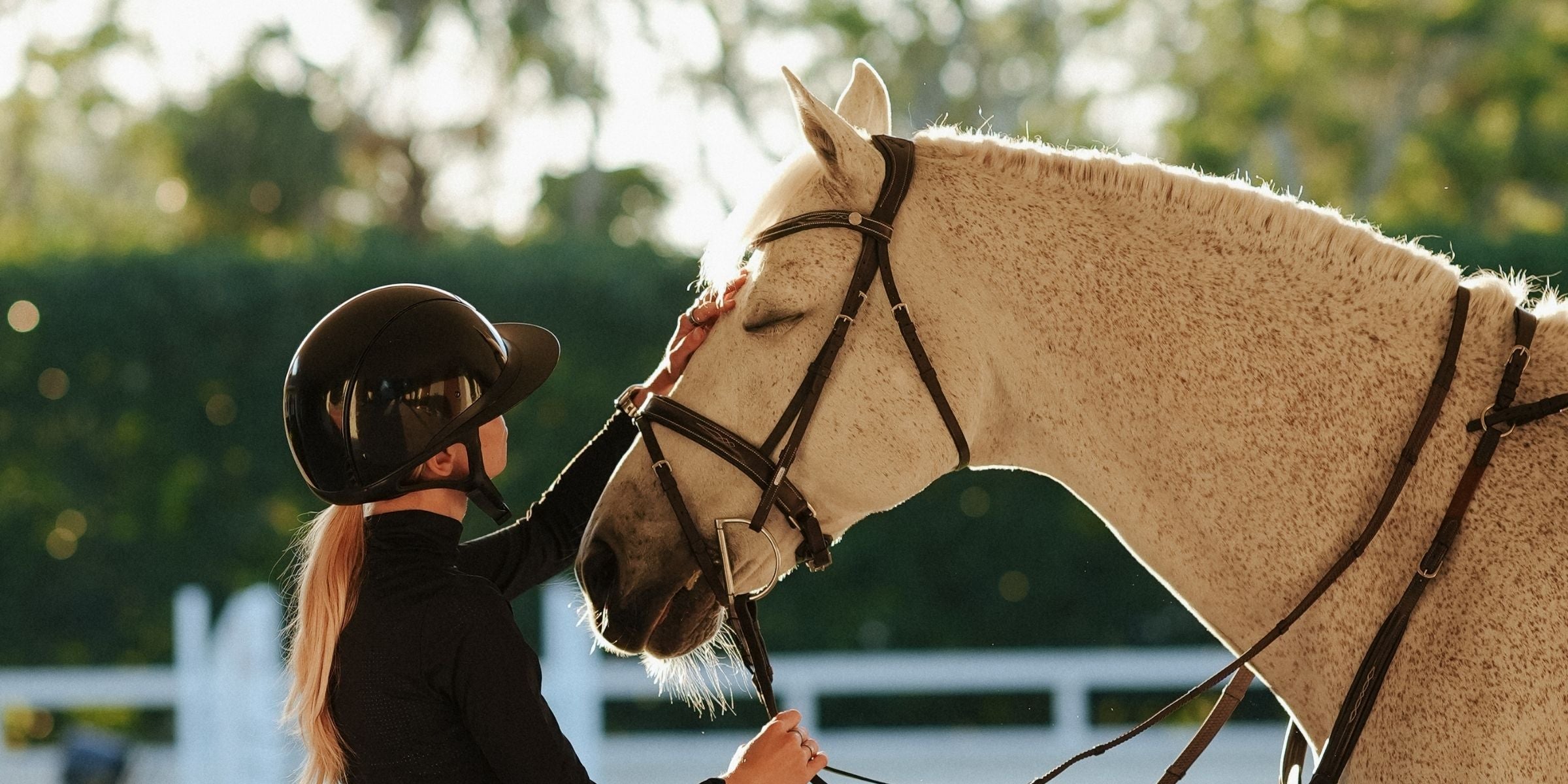 What to do if your horse’s bit is rubbing