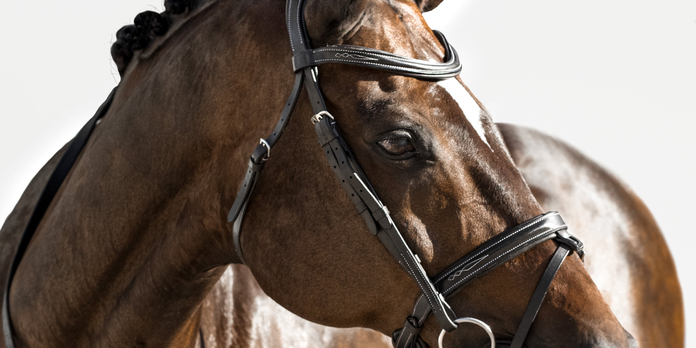 Why the best Aussie riders leave AU soil