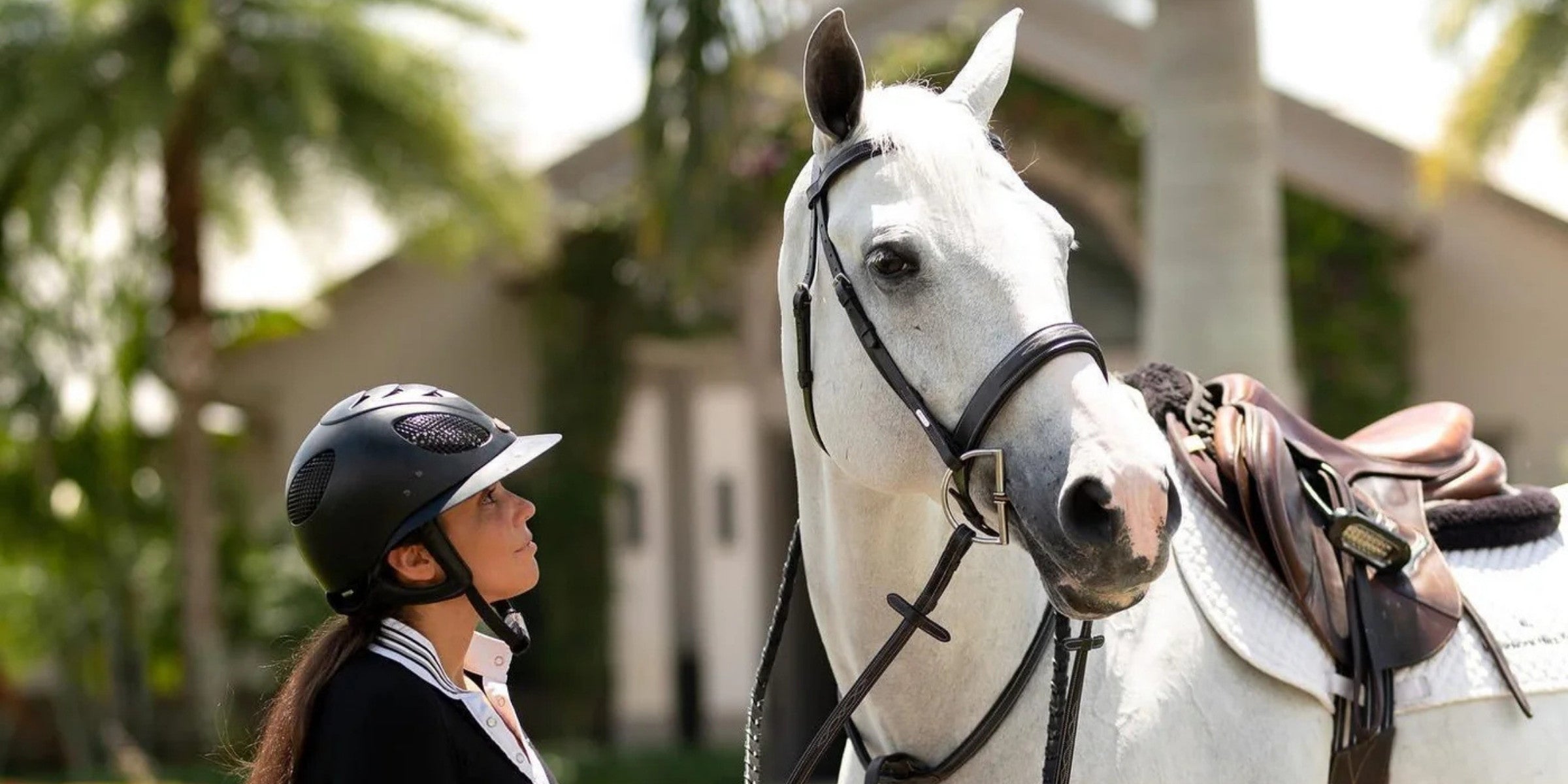 Tack Tips for Hunter and Jumper Classes