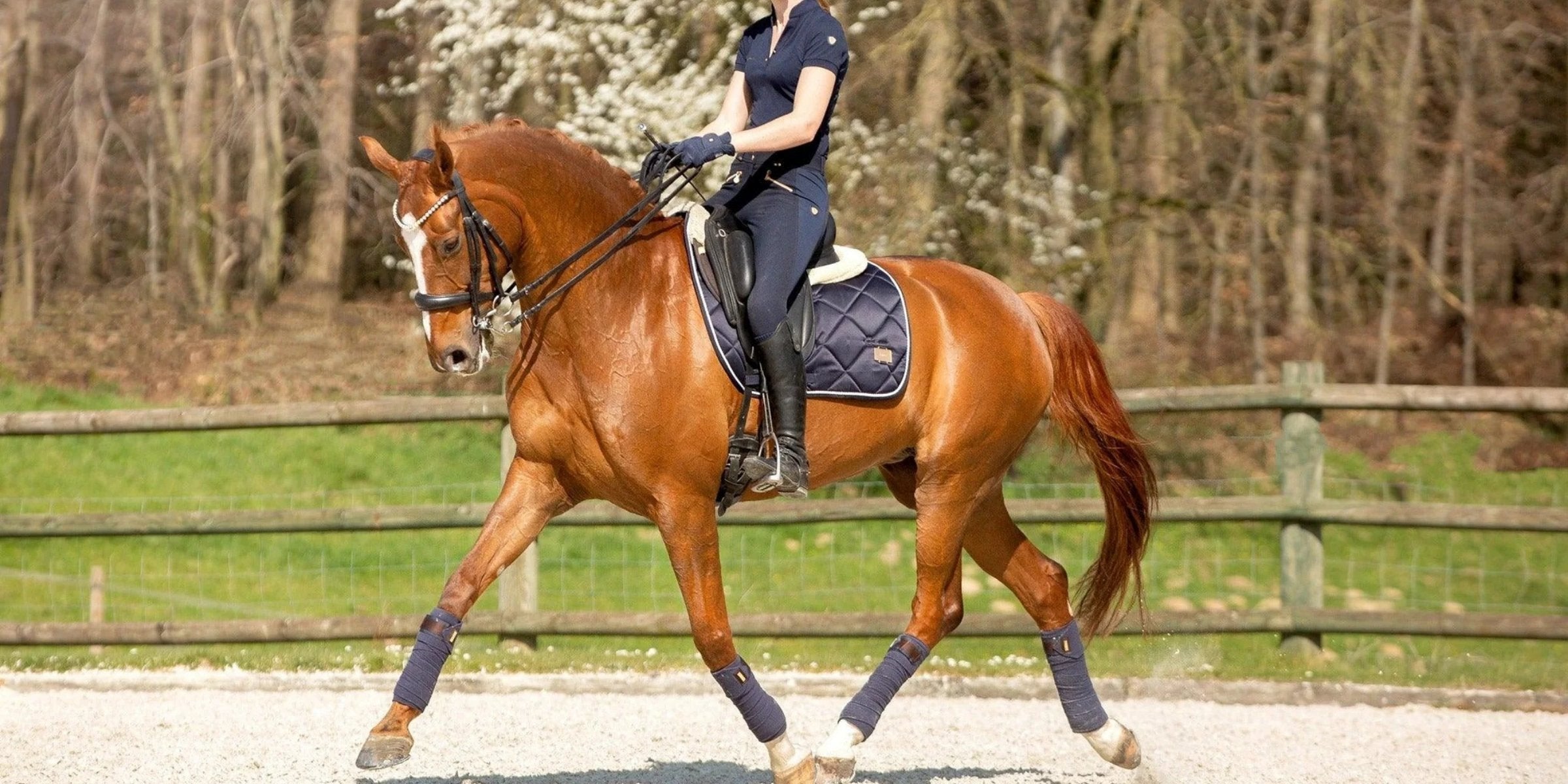 The Best Colour Browband to Use on a Chestnut Horse