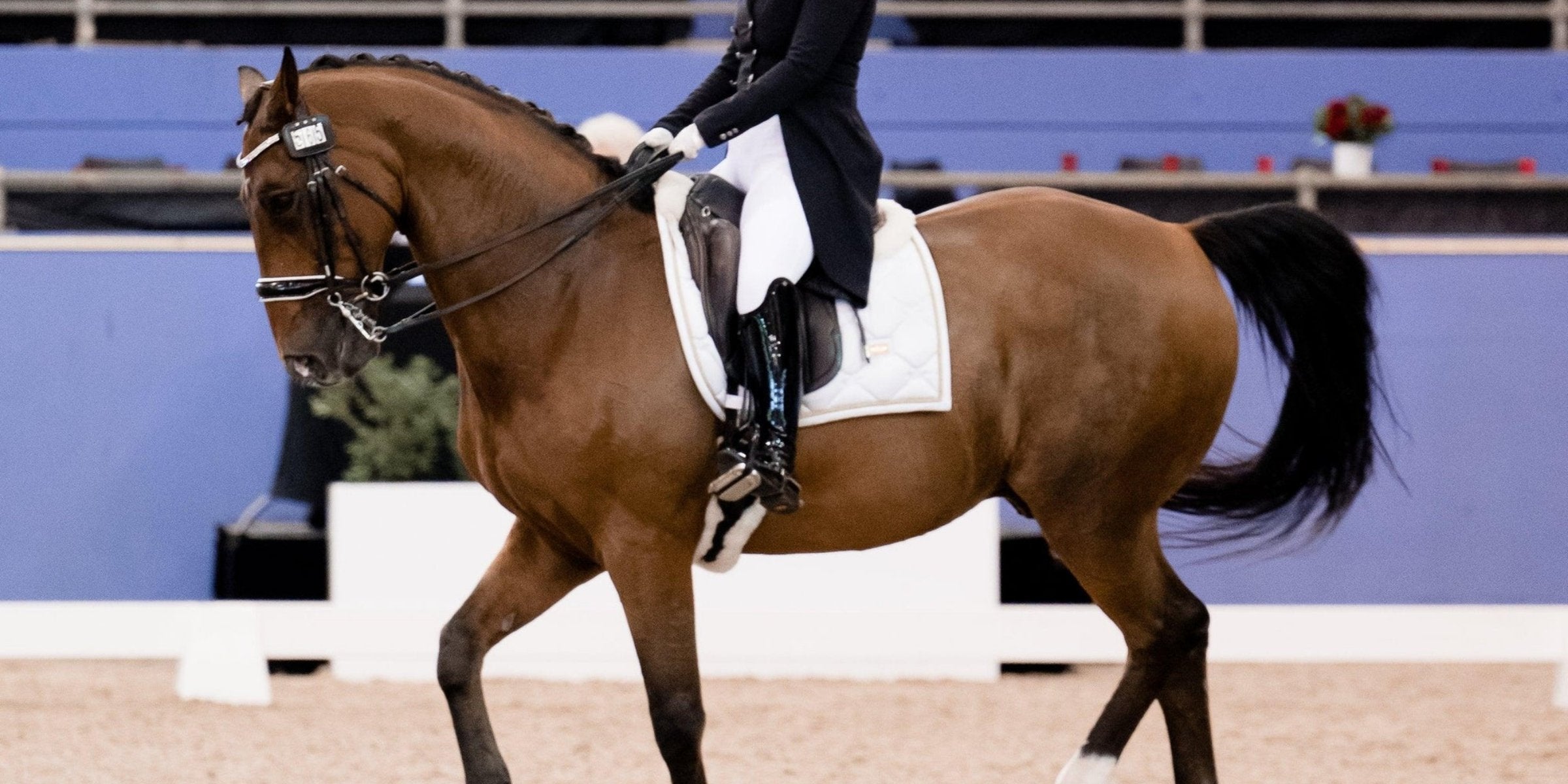 Grand Prix dreams: inside story with Lyndsey Ware