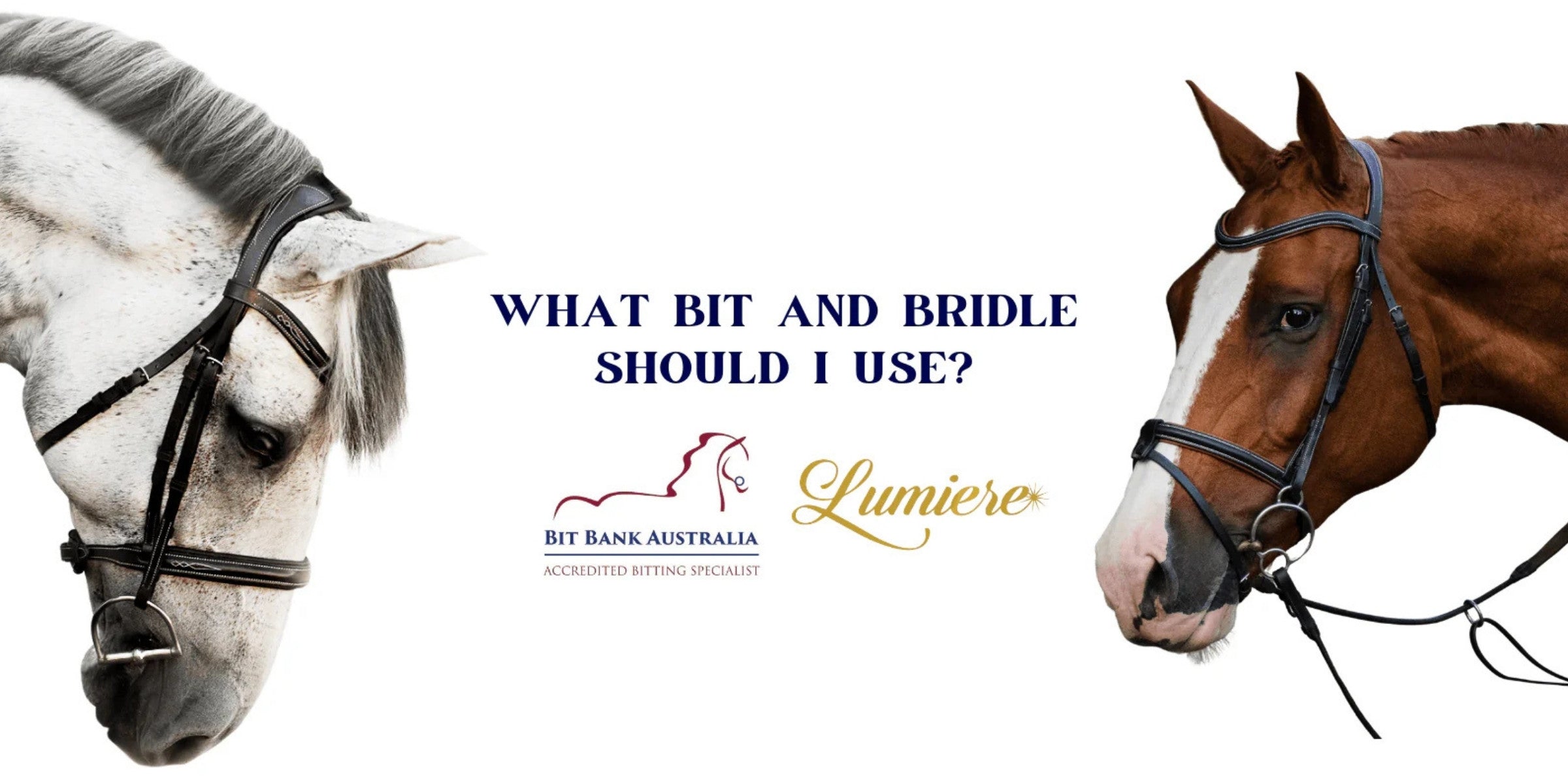 SELECTING THE PERFECT BIT & BRIDLE