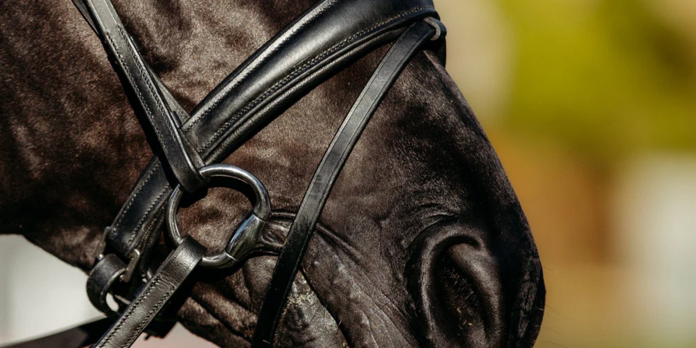 HOW TO: NOSEBAND GUIDE