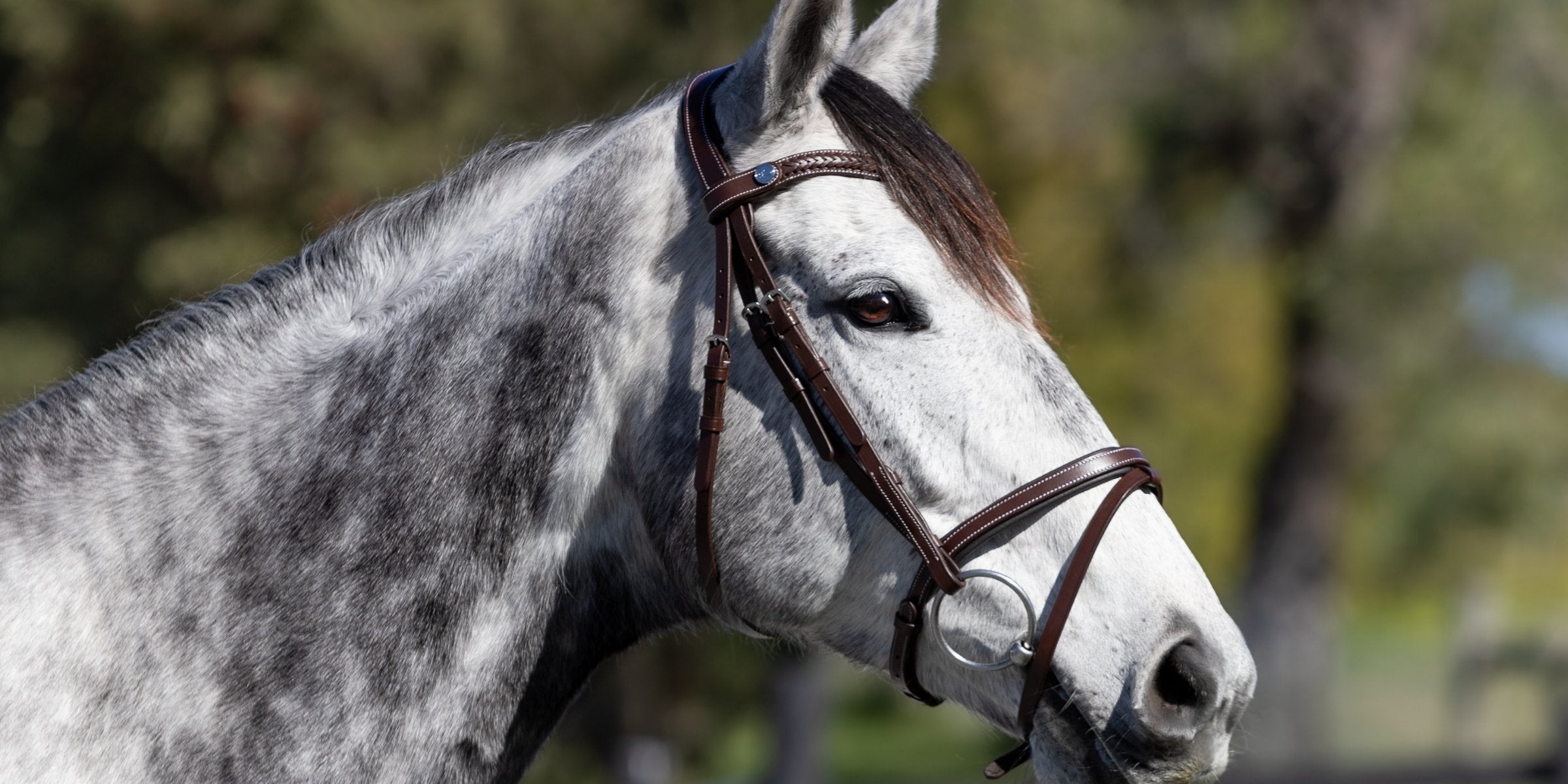 Is your horse telling you their bridle doesn’t fit?
