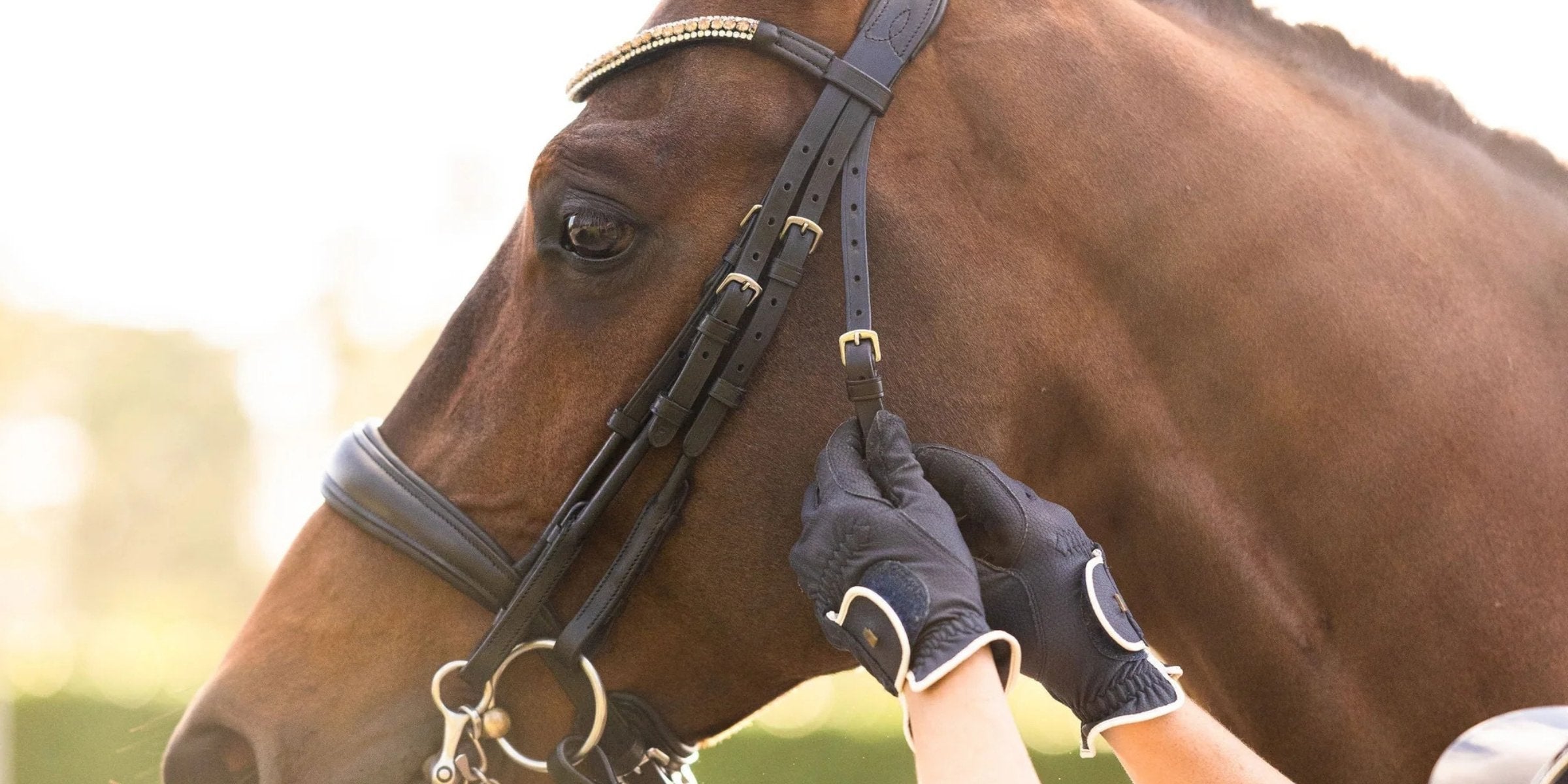 The freedom of customisable bridles: style, fit, and function your way