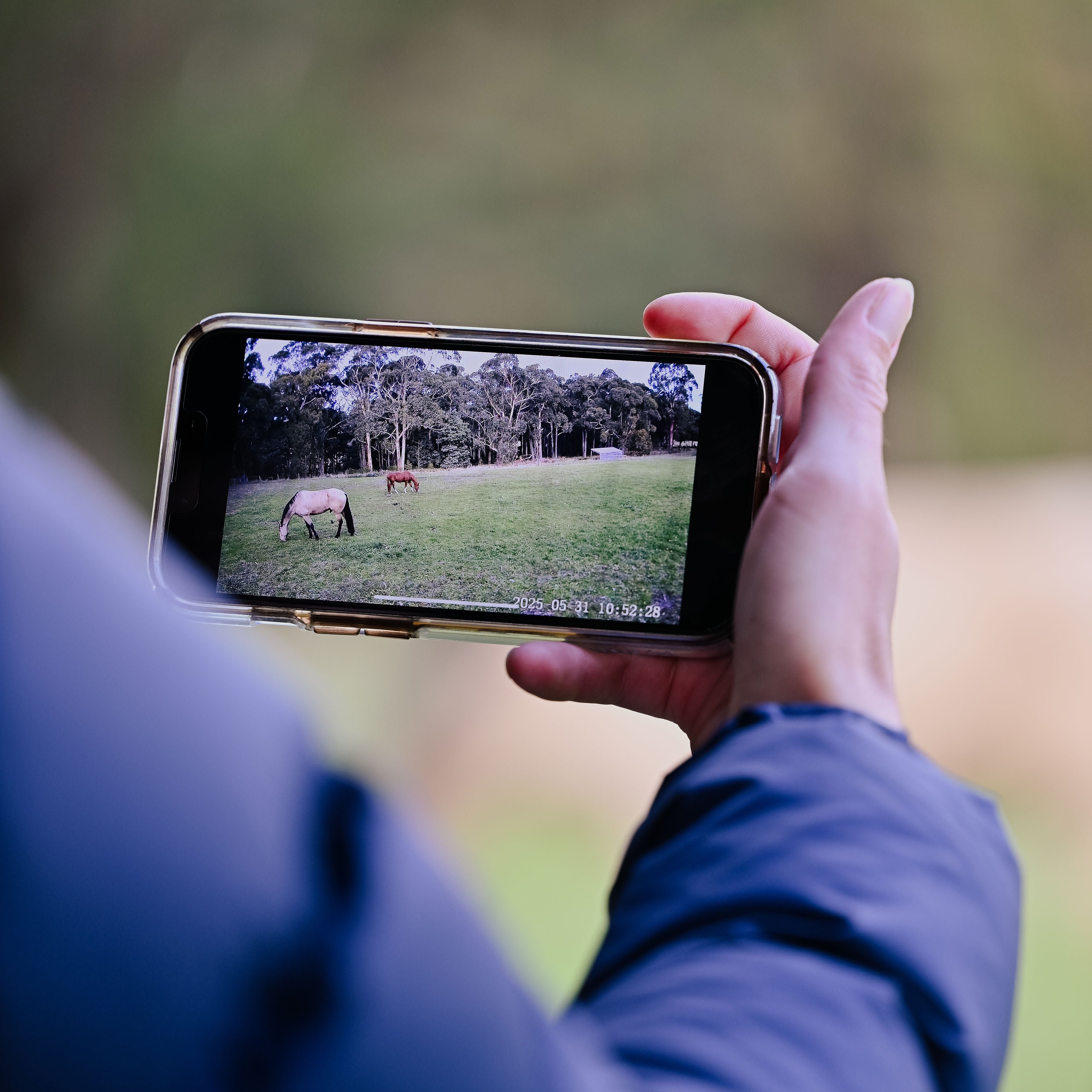 Horse camera, paddock camera, barn camera, hauling camera, float camera
