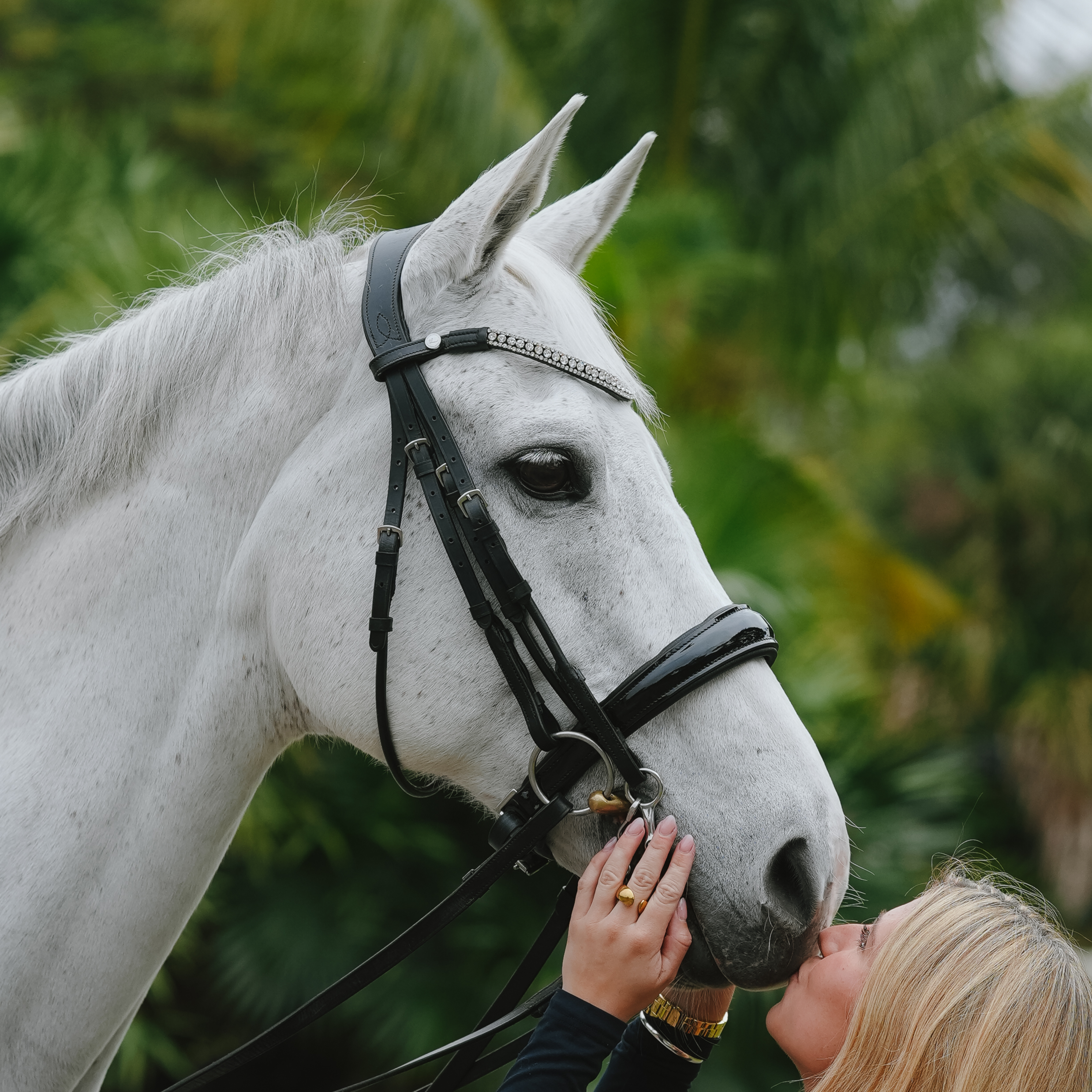 What to do if your horse’s bit is rubbing