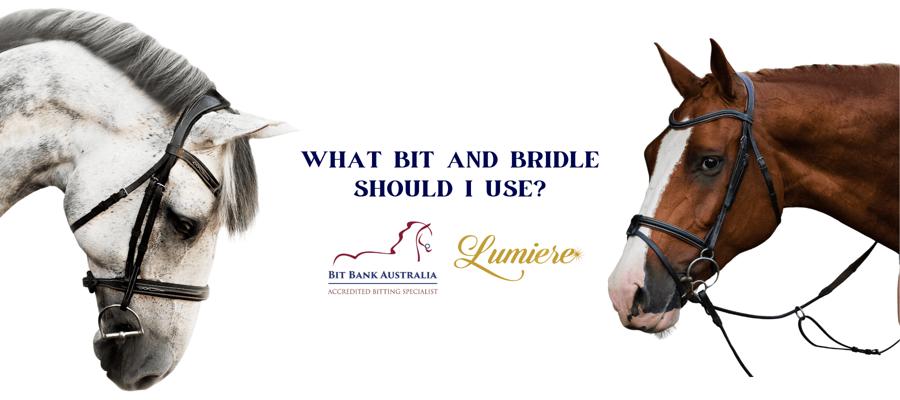 SELECTING THE PERFECT BIT & BRIDLE