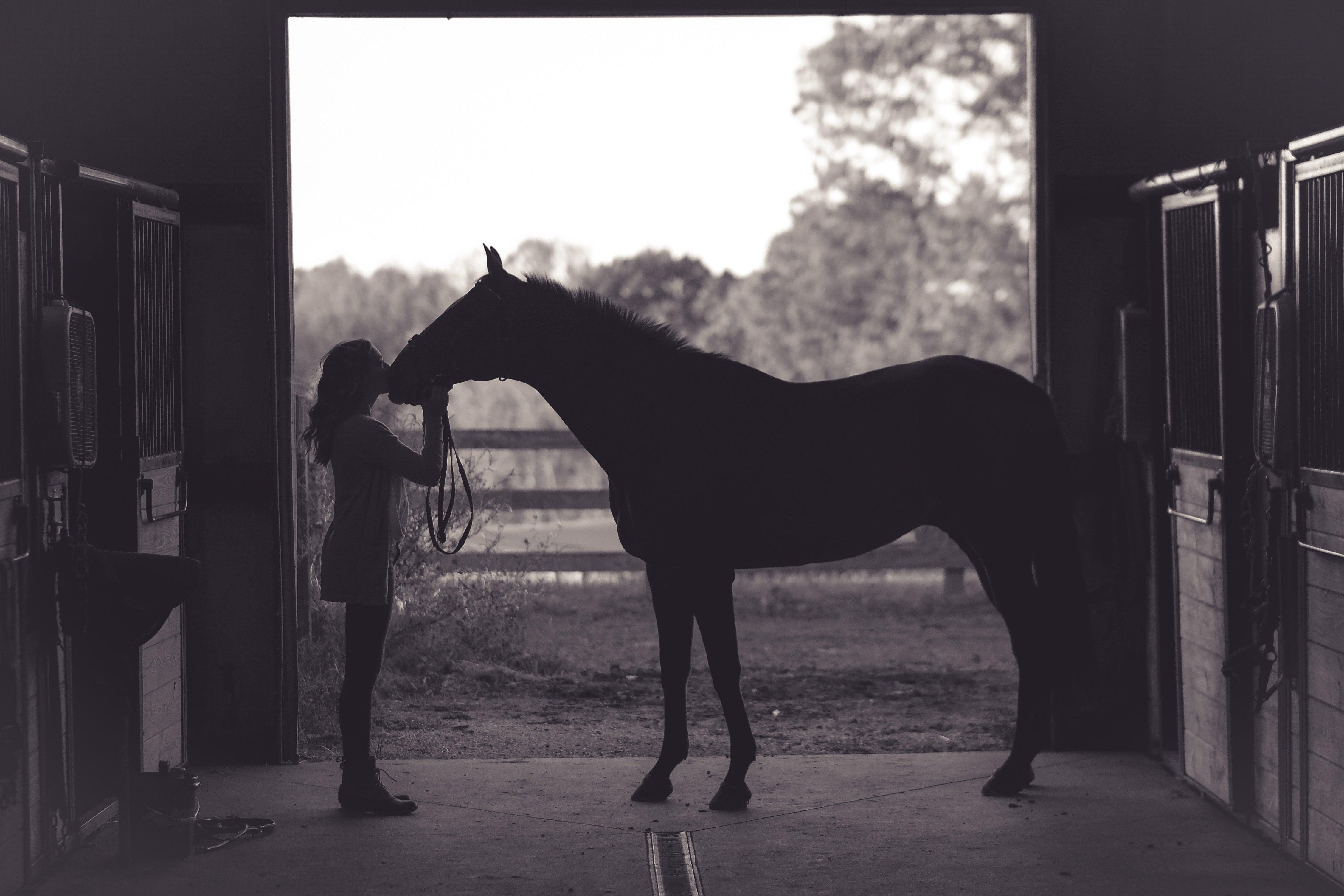 The Benefits of Horse Riding for Physical and Mental Health