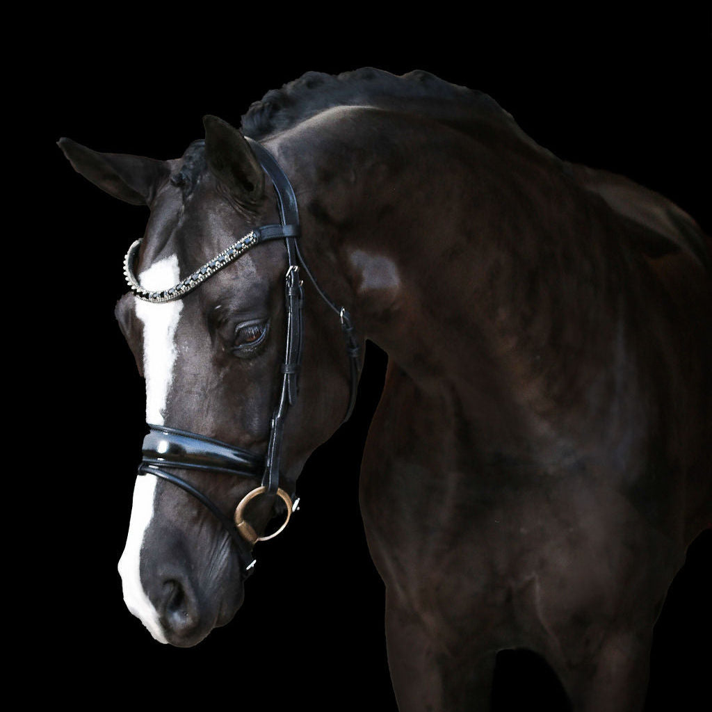 'Audrey' Rolled Leather Bridle (Hanoverian)