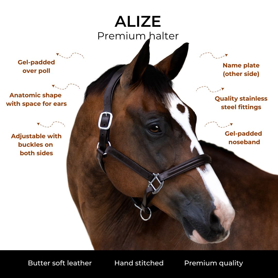 'Alize' leather halter - Lumiere Equestrian