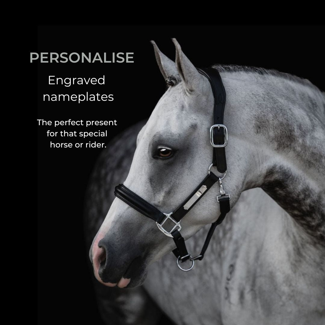 'Alize' leather halter - Lumiere Equestrian