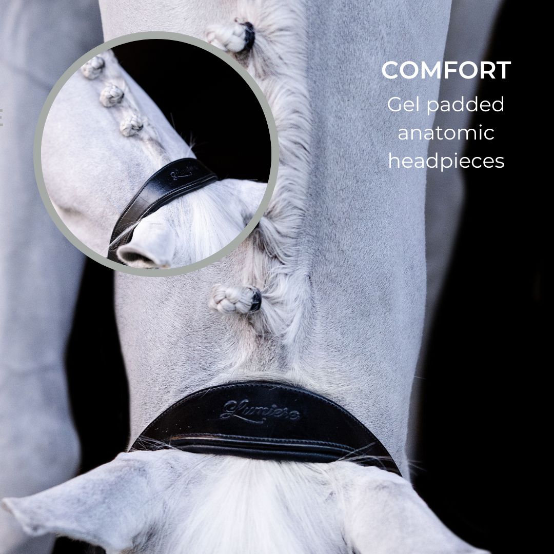 'Alize' leather halter - Lumiere Equestrian