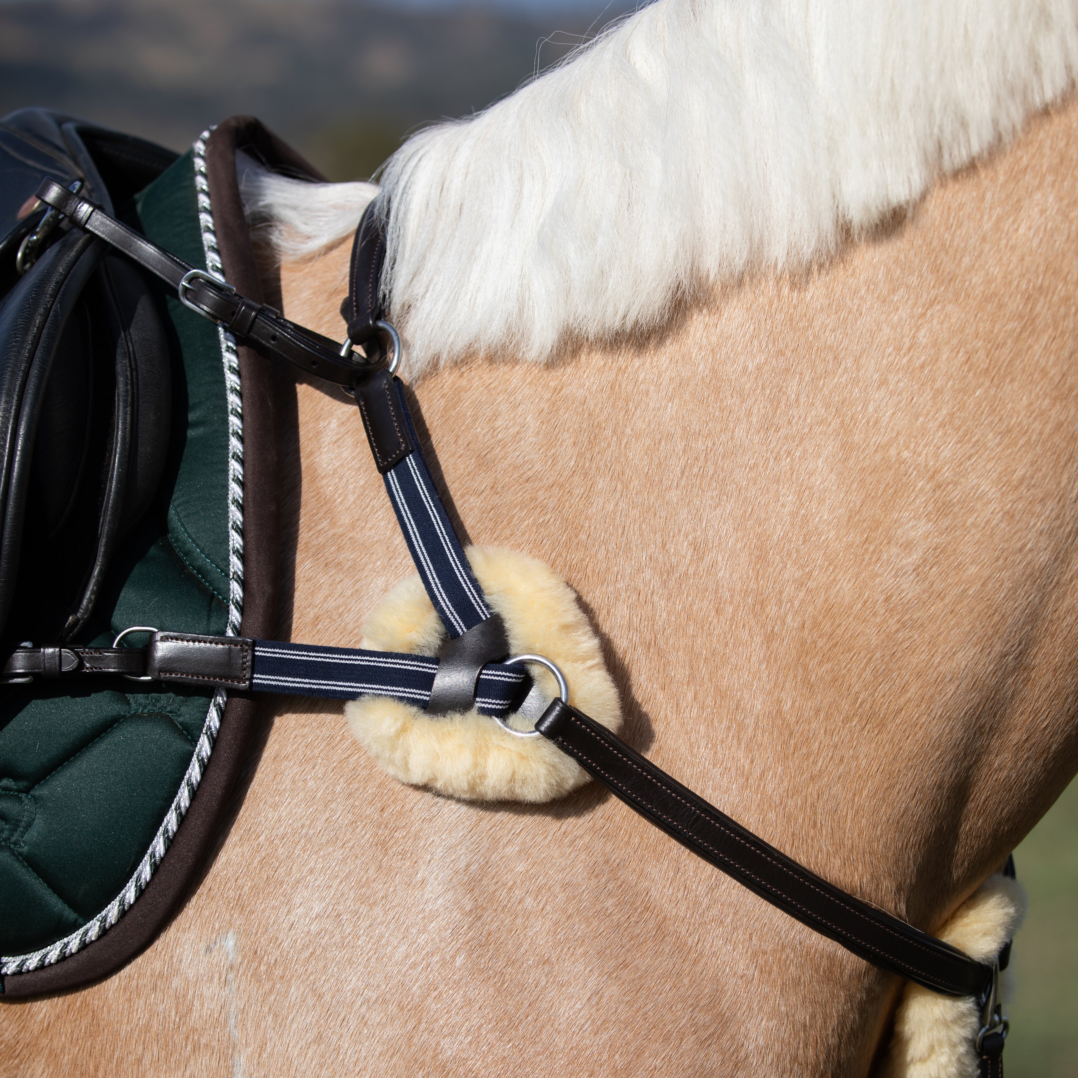 'Antiqua' 5-Point Leather Breastplate - Lumiere Equestrian