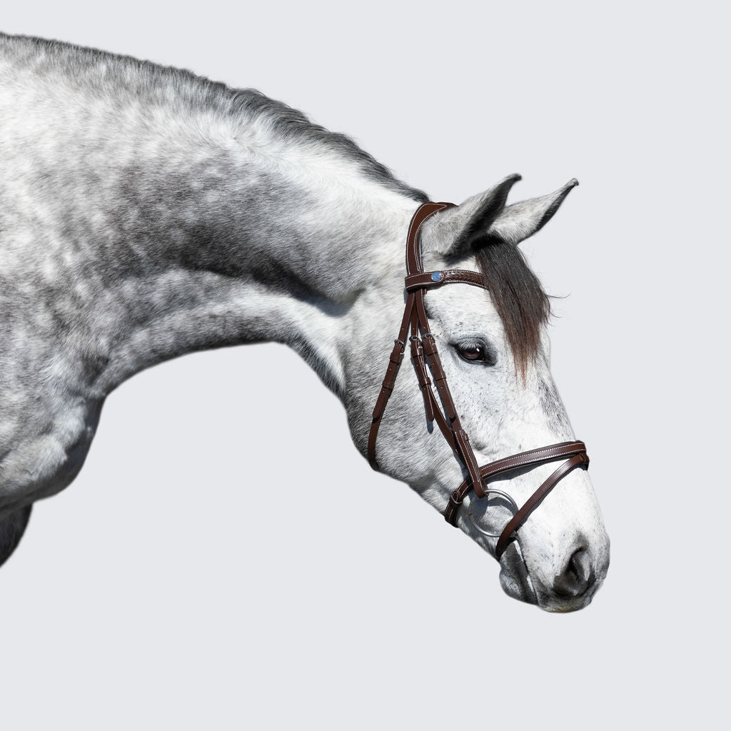Delaney bridle - Lumiere Equestrian