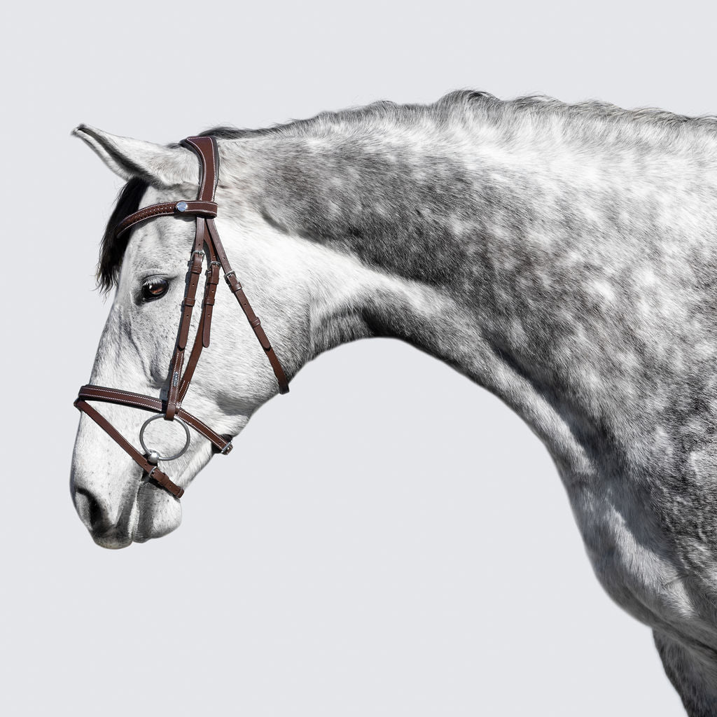 Delaney bridle - Lumiere Equestrian