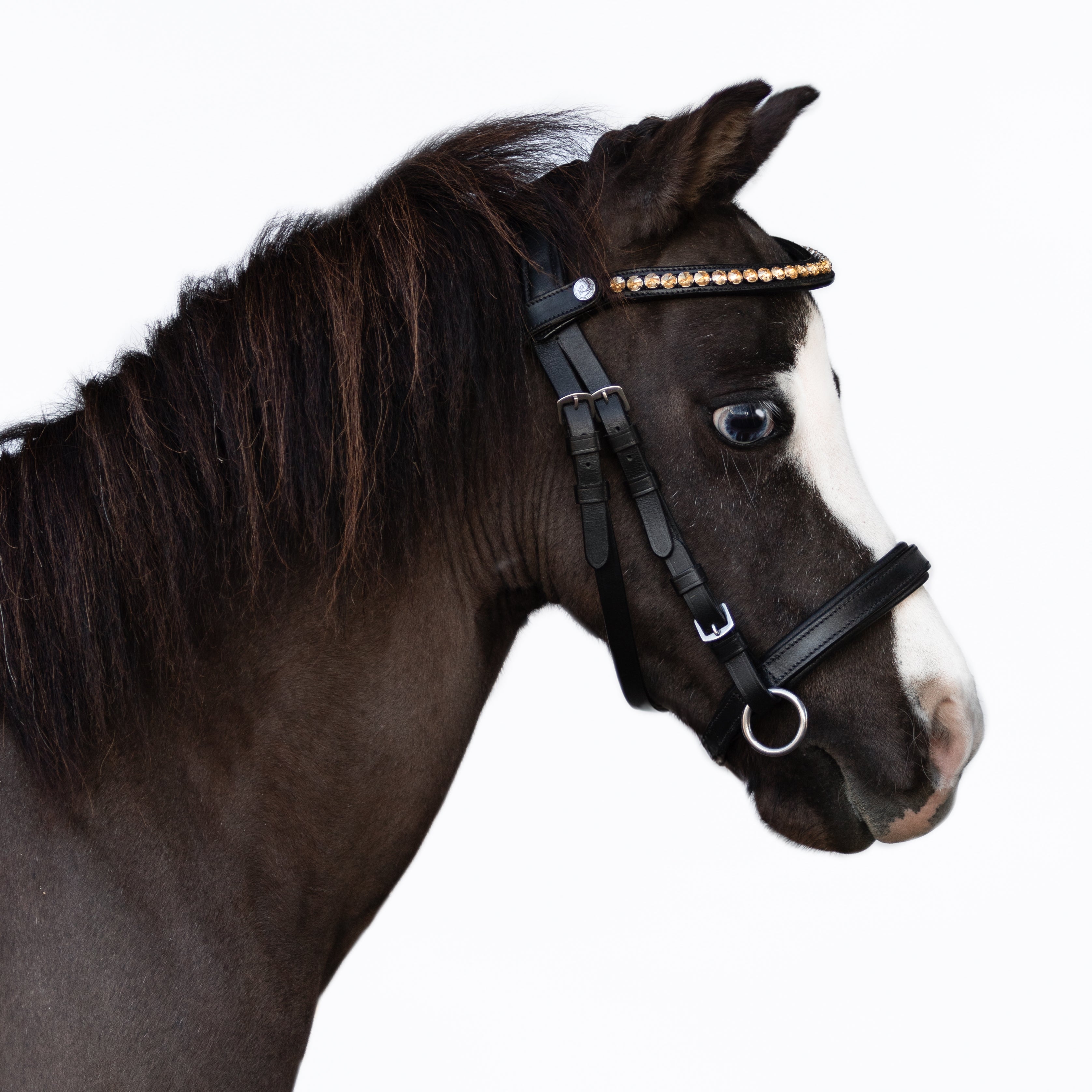 Iddy Biddy Bitless bridle (Lumi Pony) Clearance - Lumiere Equestrian