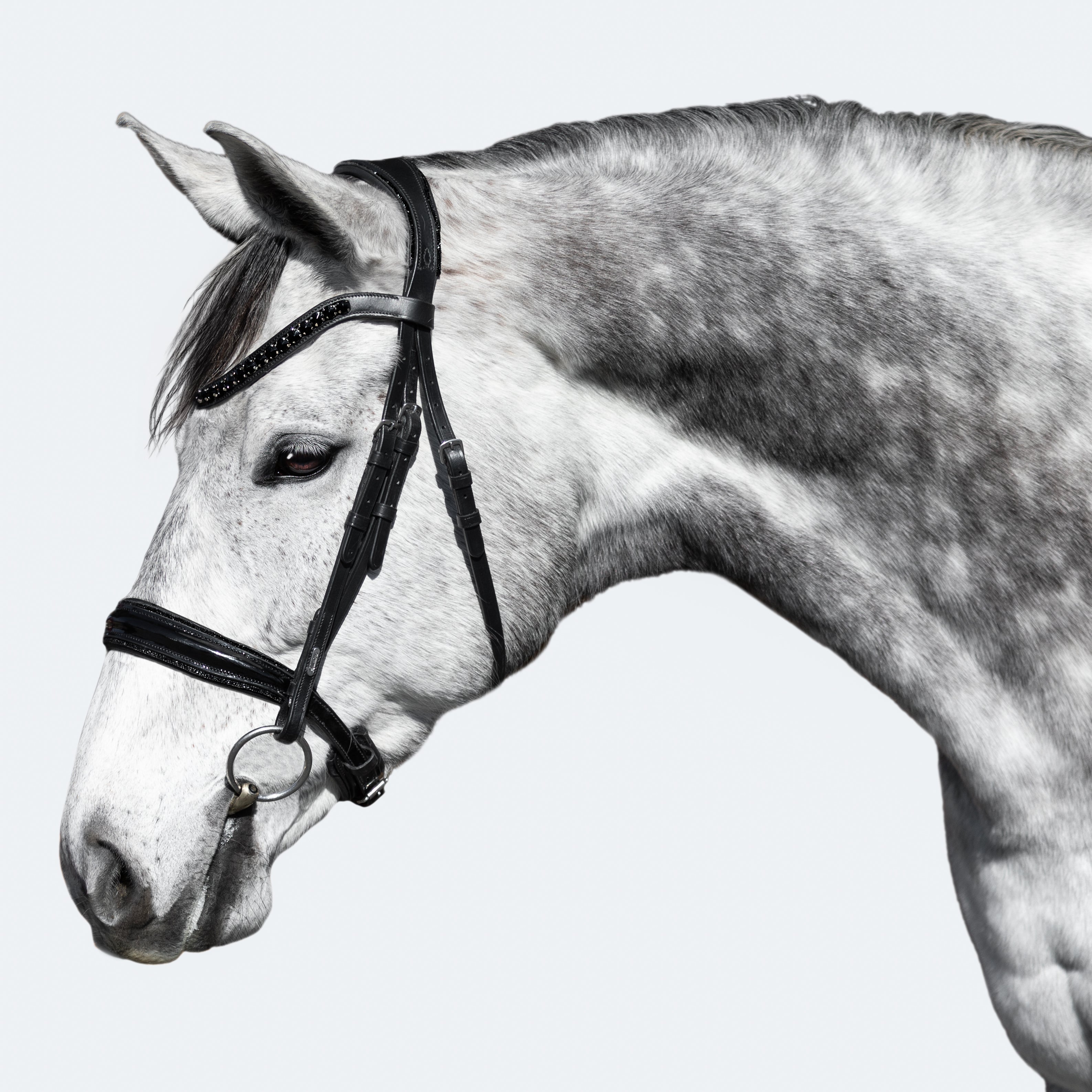 'Arcadia' Luxury Leather Bridle (Cavesson) - Lumiere Equestrian