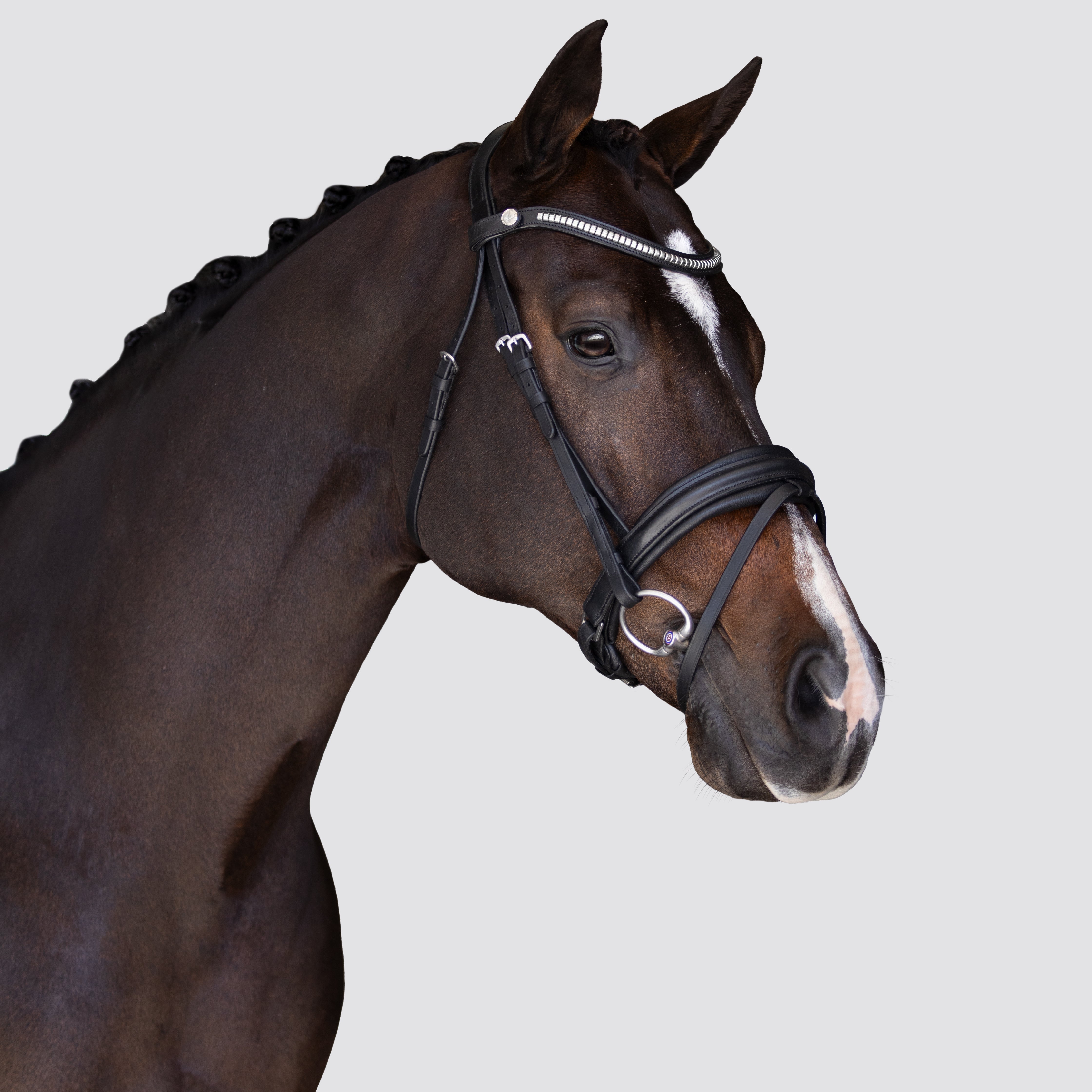 'Melodie' classic bridle