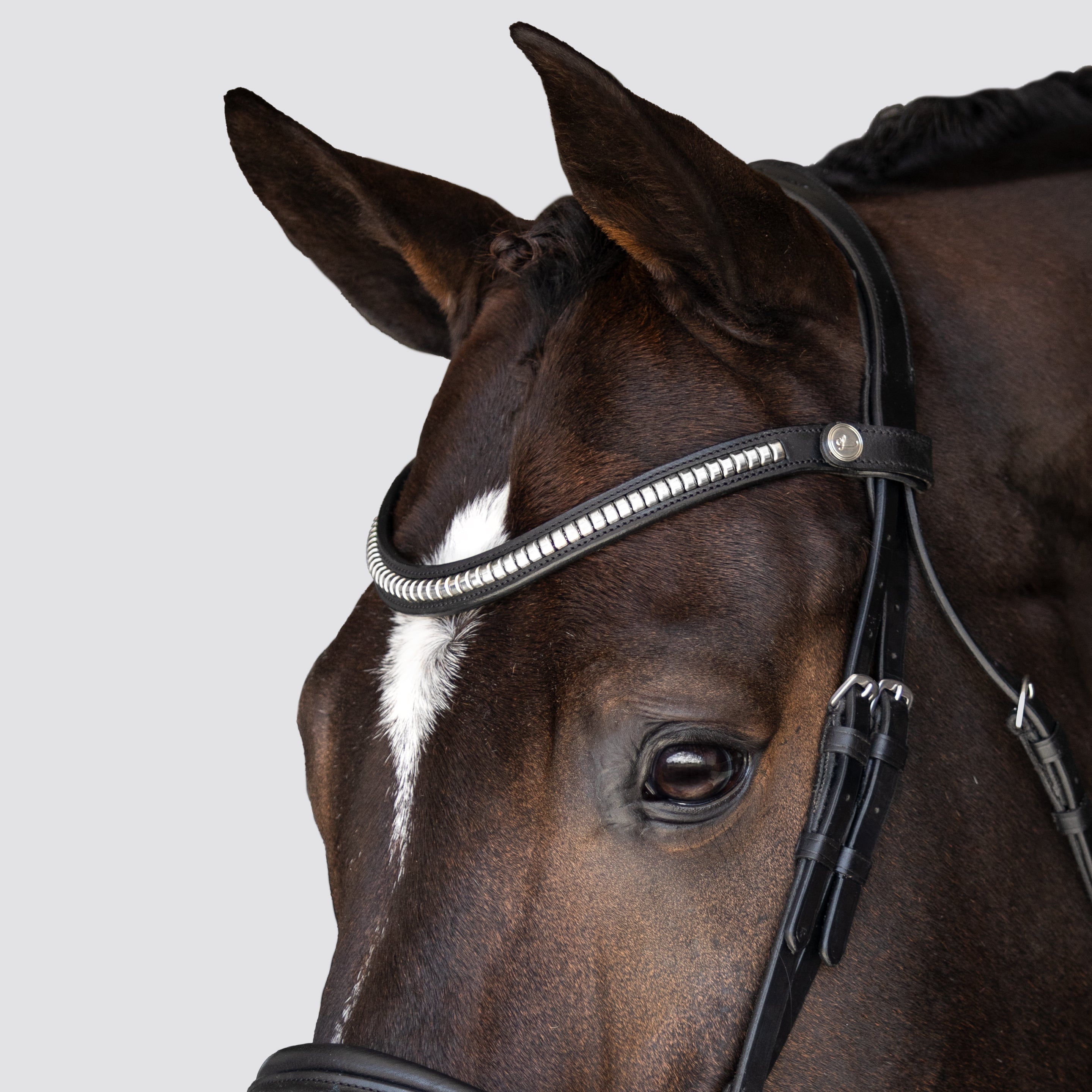 Melodie clincher browband