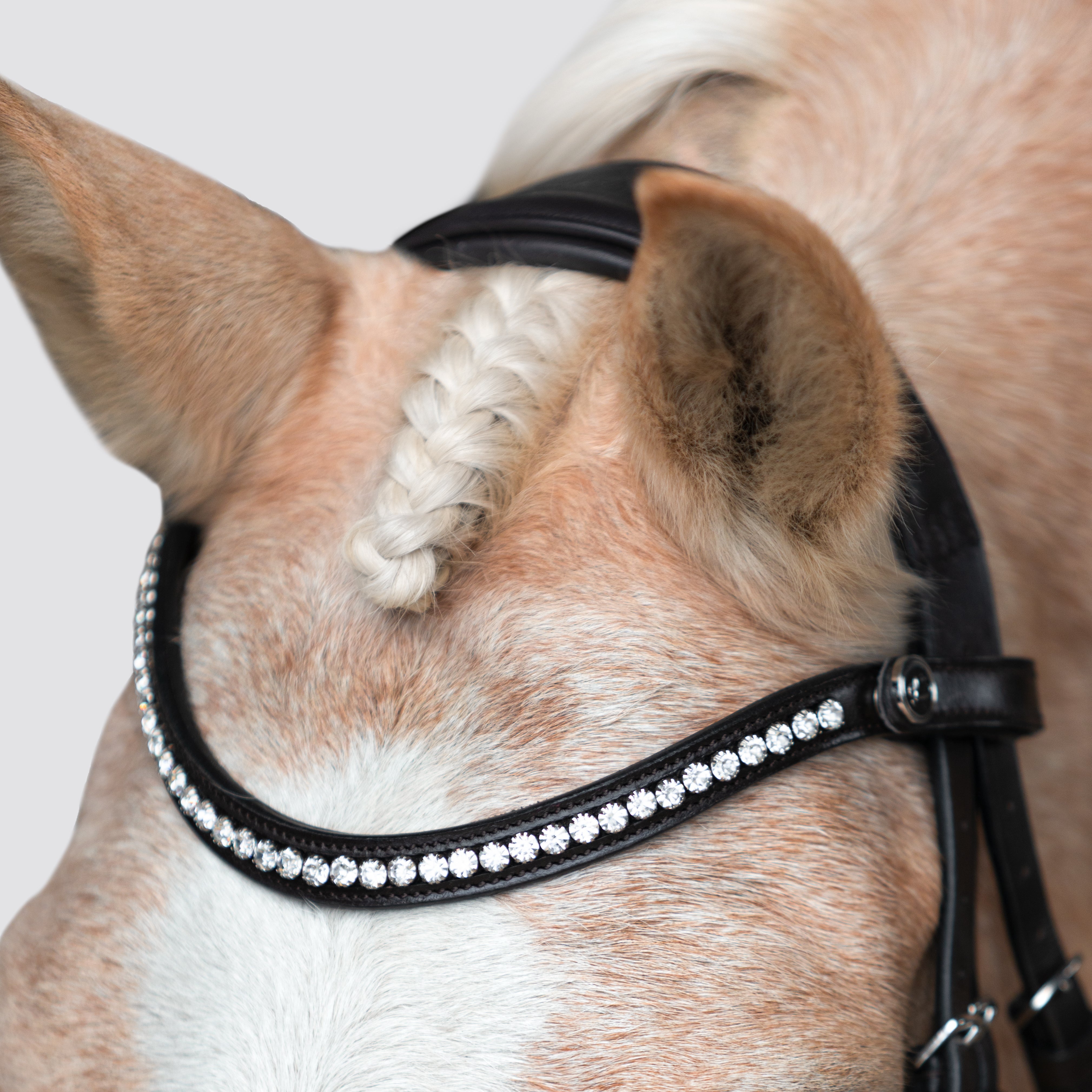 Pera bridle (Lumi Pony)