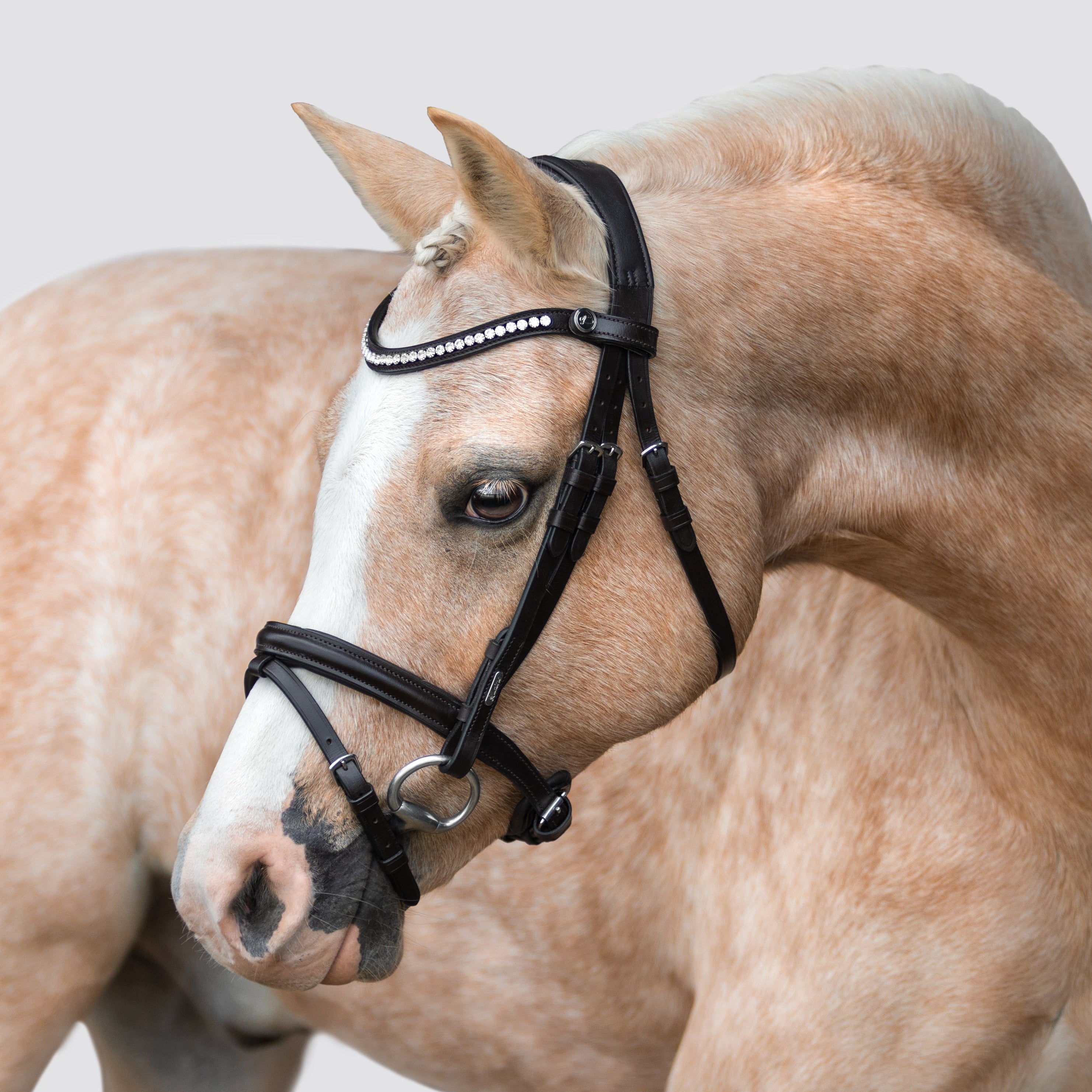 Pera bridle (Lumi Pony)