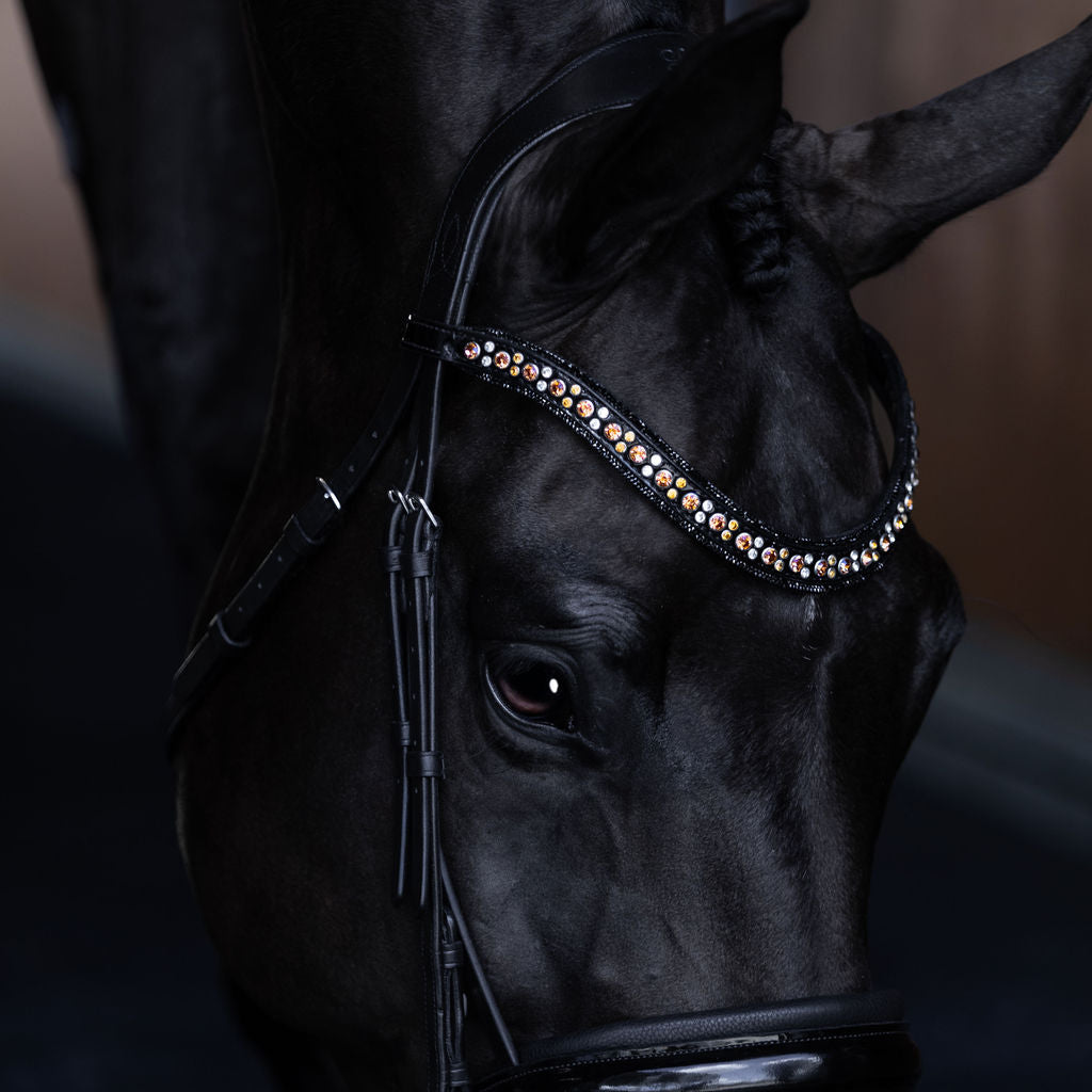 'Ariana' bridle (cavesson) - Lumiere Equestrian