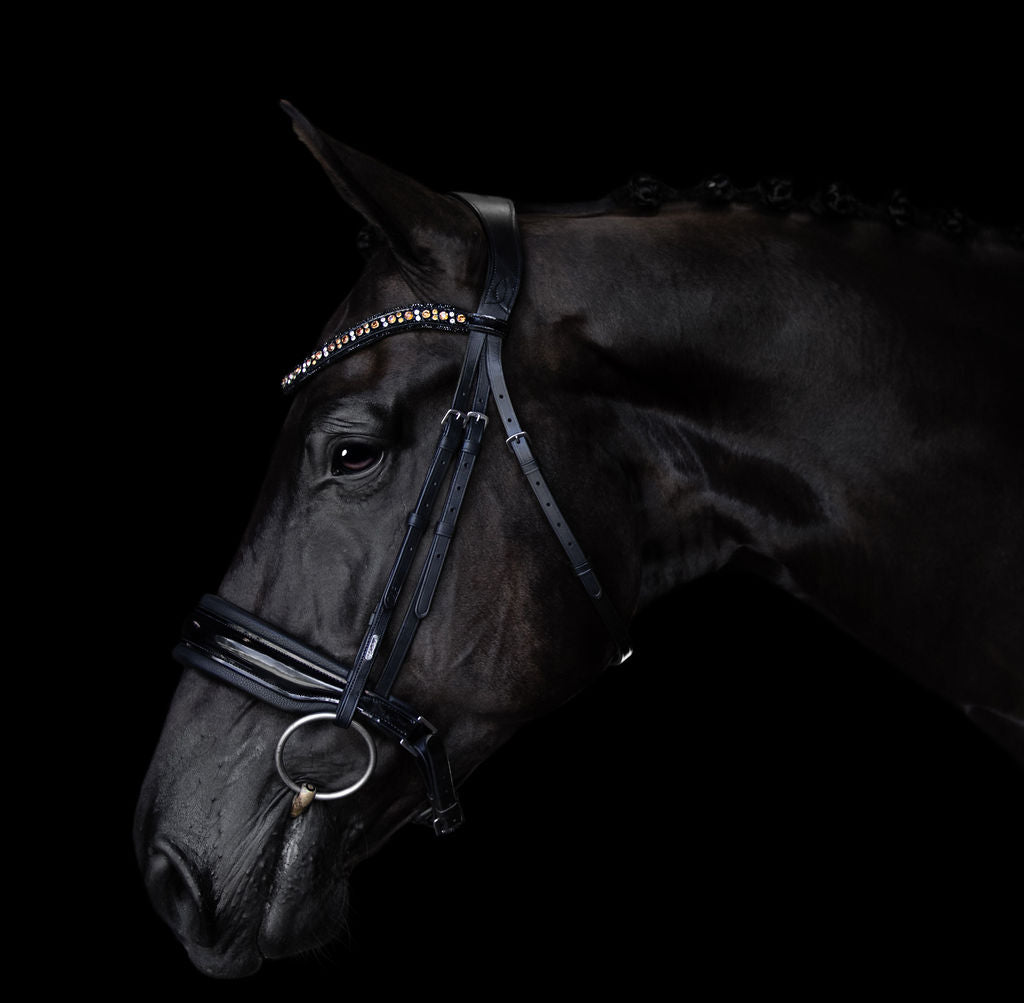 'Ariana' bridle (cavesson) - Lumiere Equestrian