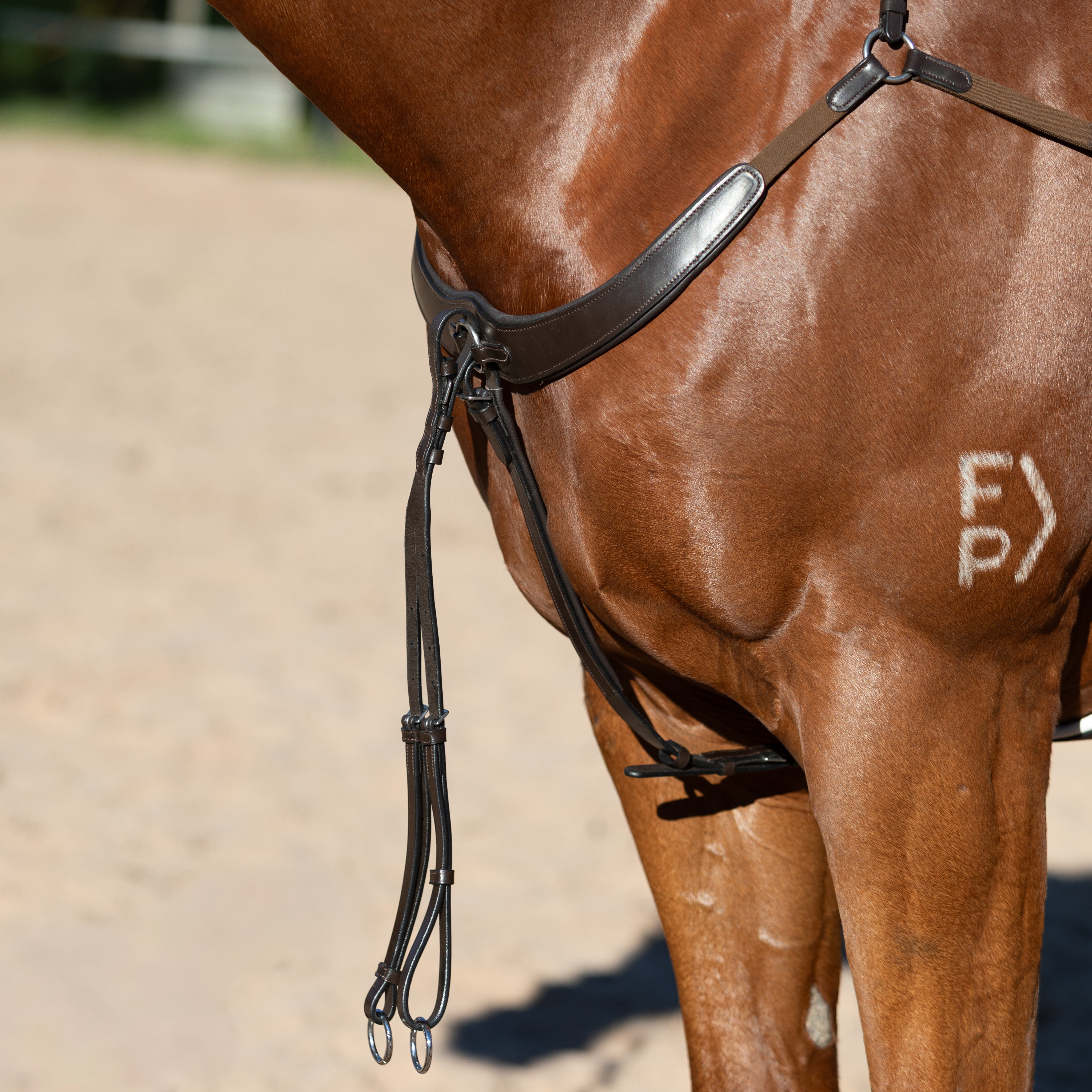 Parker bridge breastplate