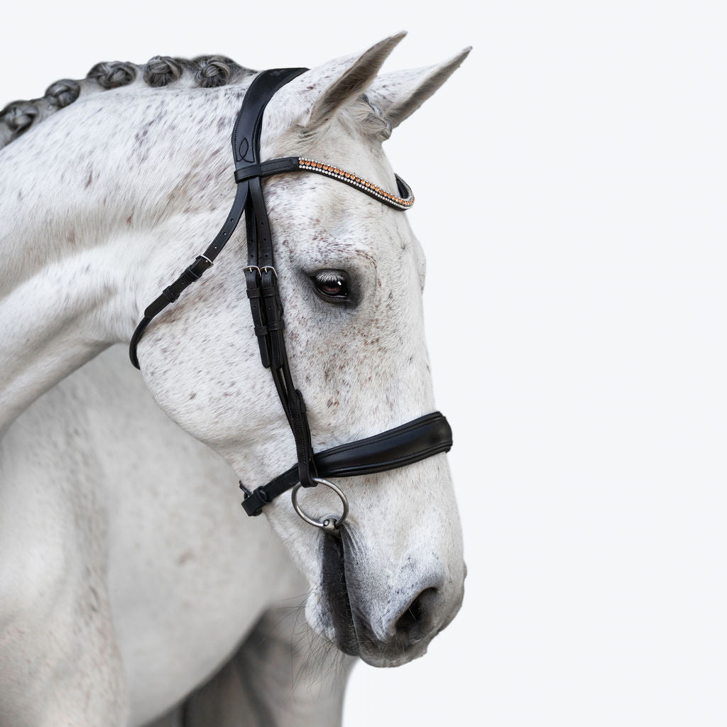 'Madeline' Rolled Leather Bridle (Cavesson) - Lumiere Equestrian