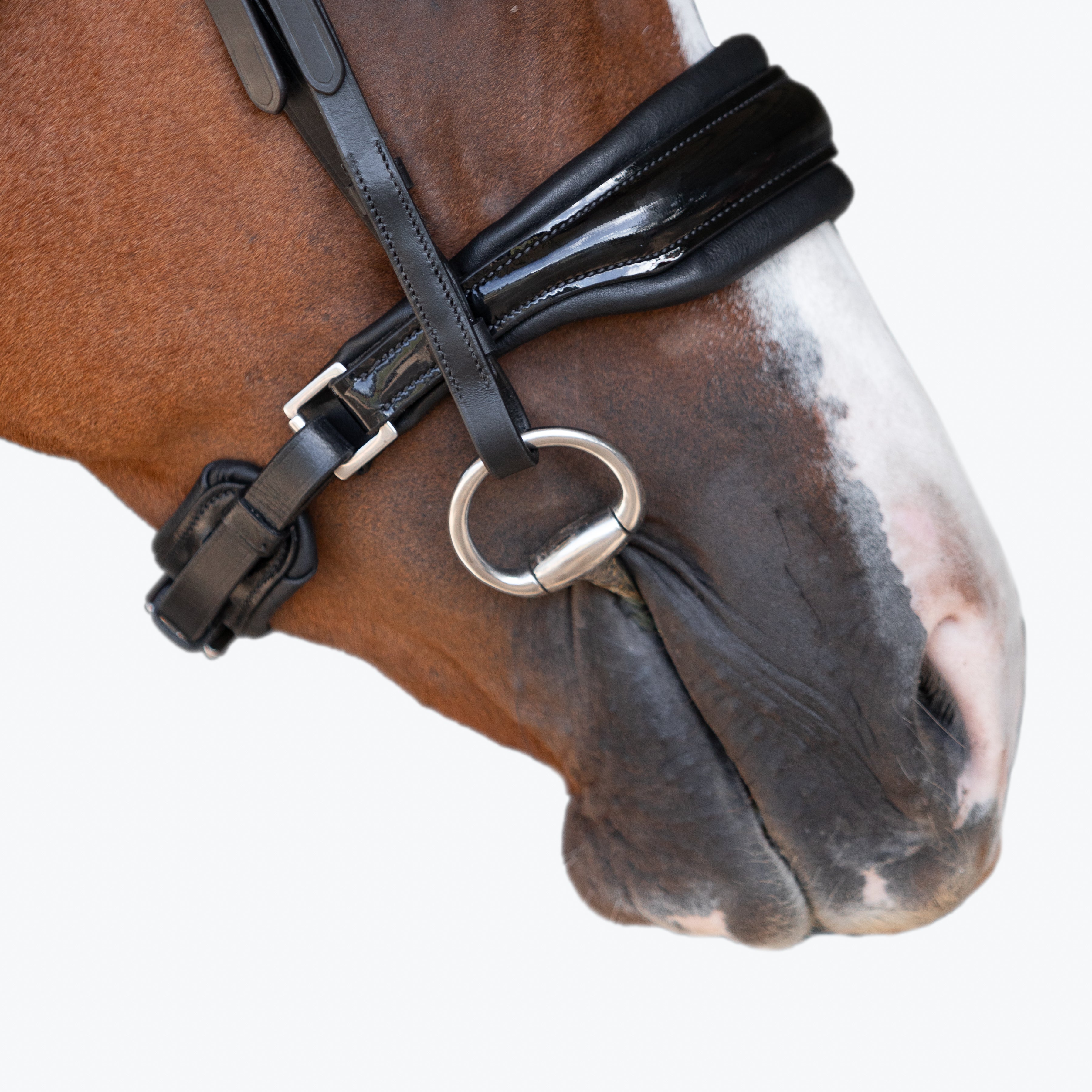'Ariana' bridle (cavesson) - Lumiere Equestrian