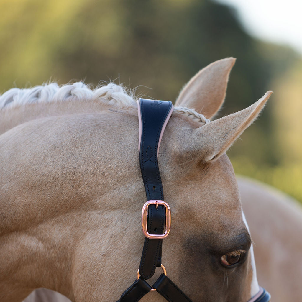 'Hollywood' leather halter - Lumiere Equestrian