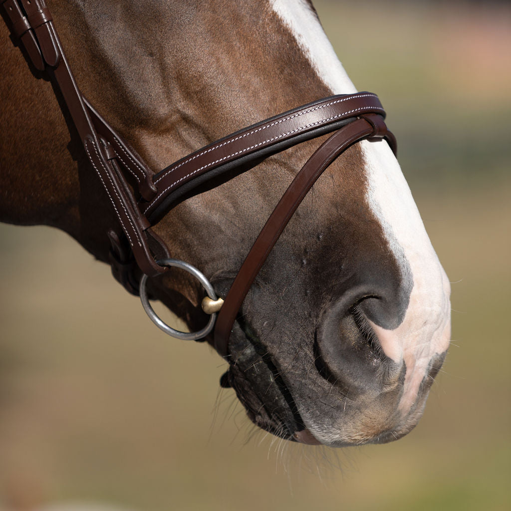 Delaney bridle - Lumiere Equestrian