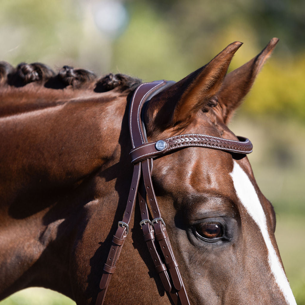 Delaney bridle - Lumiere Equestrian