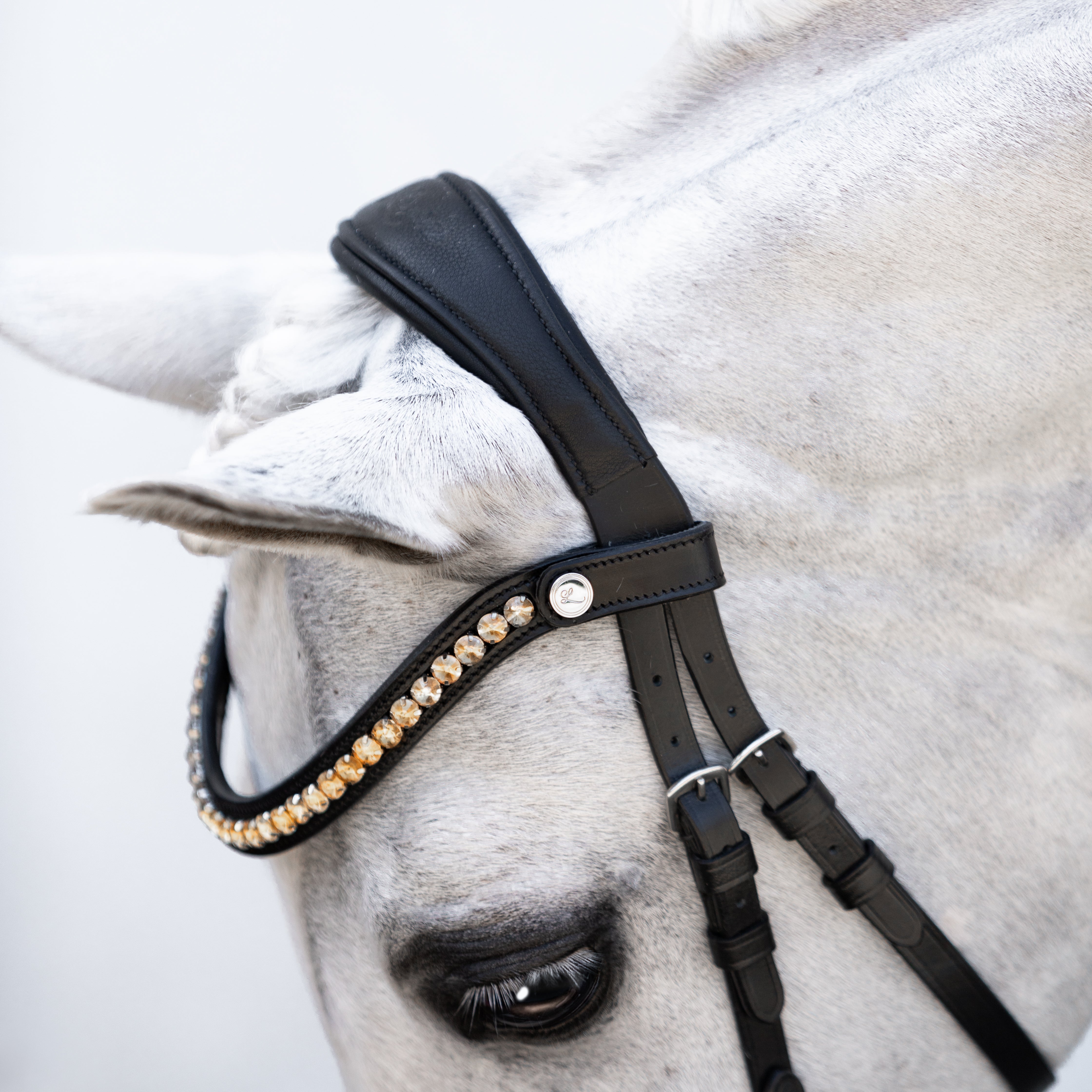 Iddy Biddy Bitless bridle (Lumi Pony) Clearance - Lumiere Equestrian