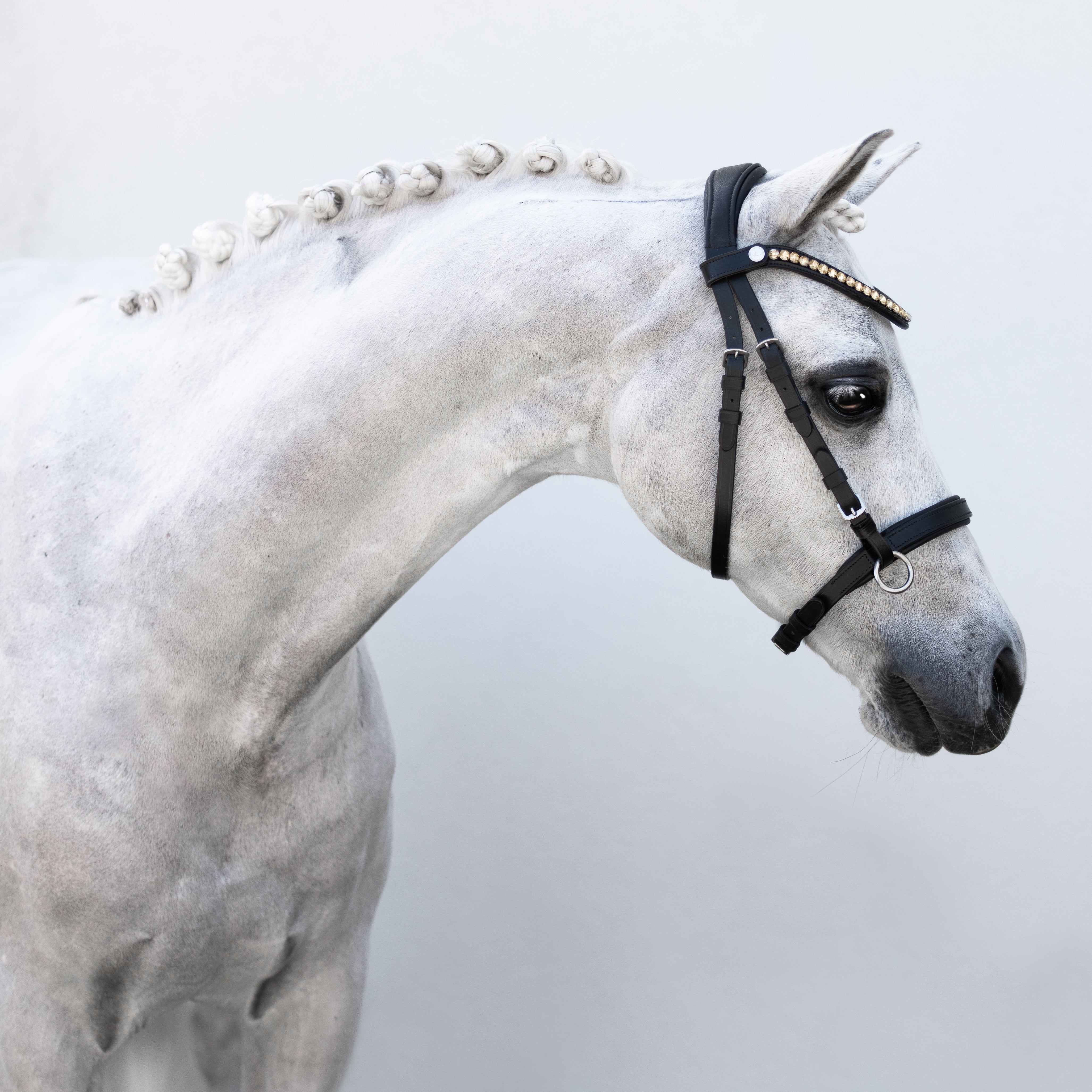Iddy Biddy Bitless bridle (Lumi Pony) Clearance - Lumiere Equestrian