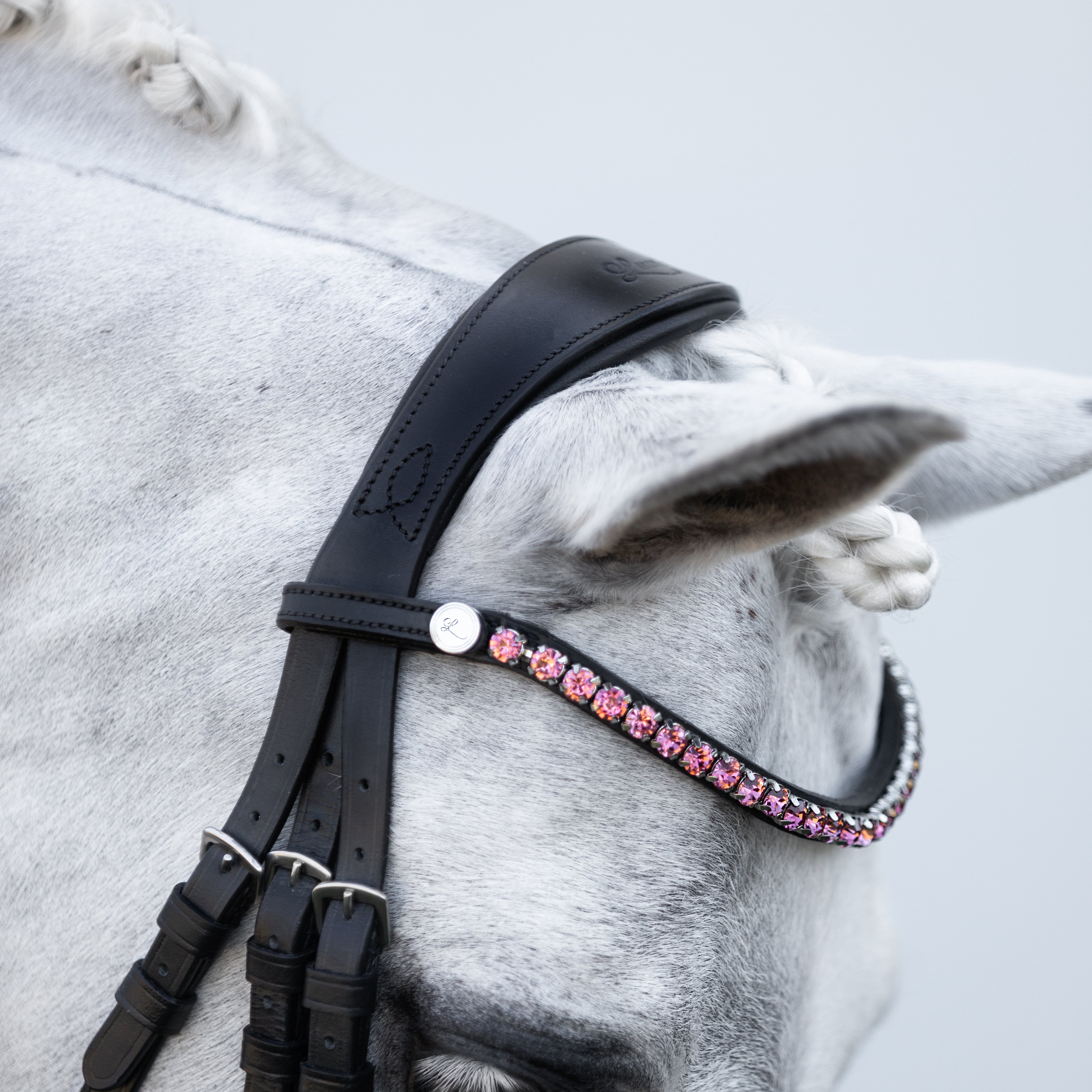 Fairyfloss browband (Lumi Pony) Clearance - Lumiere Equestrian