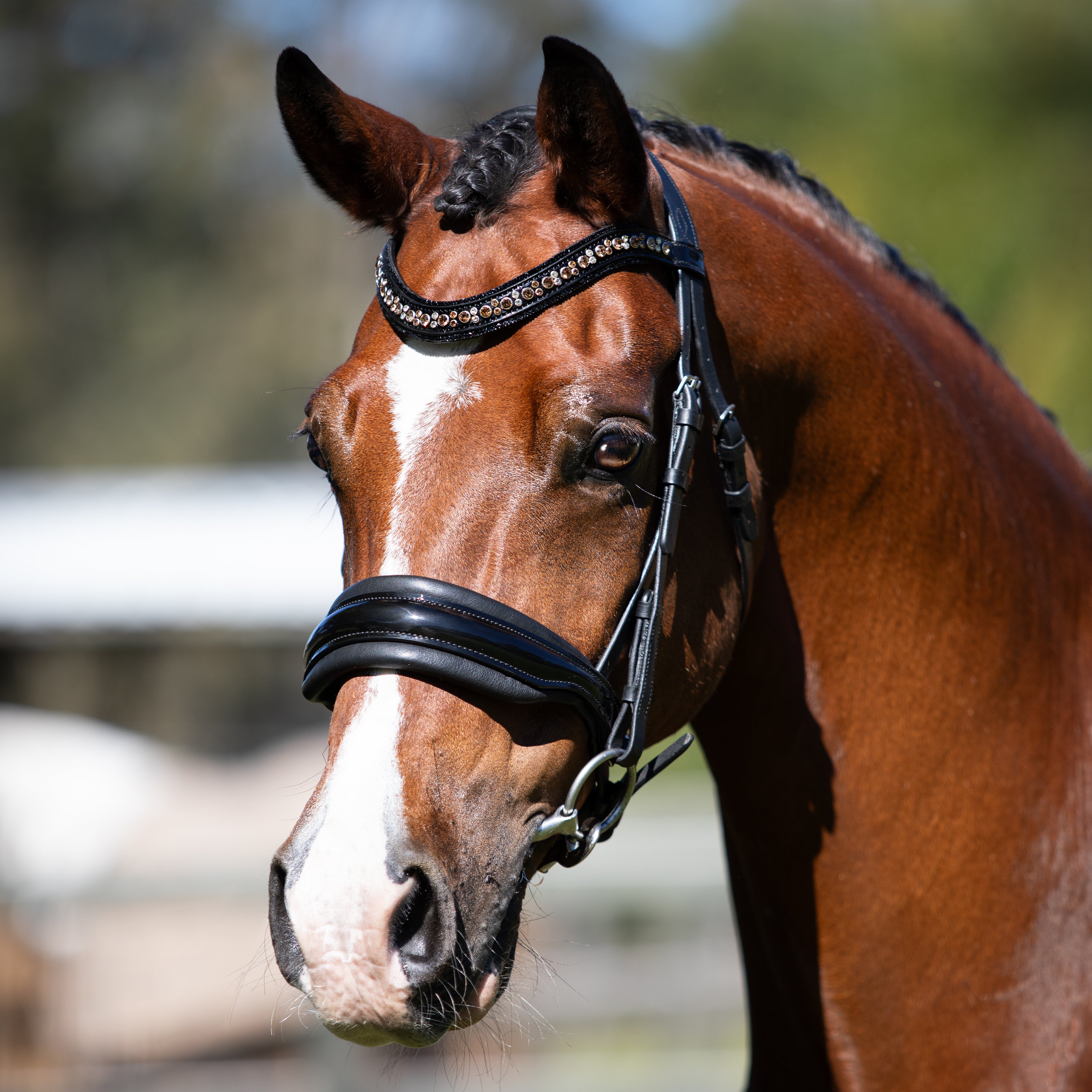 'Ariana' bridle (cavesson) - Lumiere Equestrian