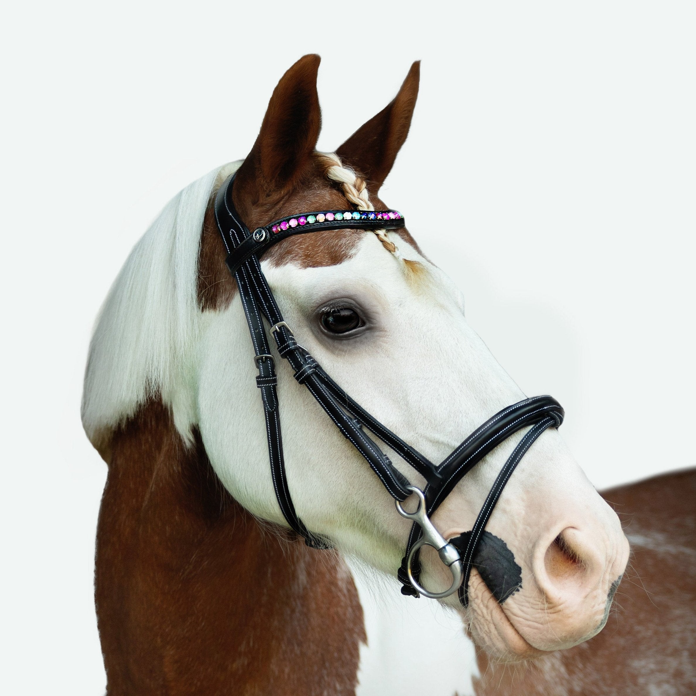 Rainbow bridle (convertible) (Lumi Pony) (Clearance) - Lumiere Equestrian
