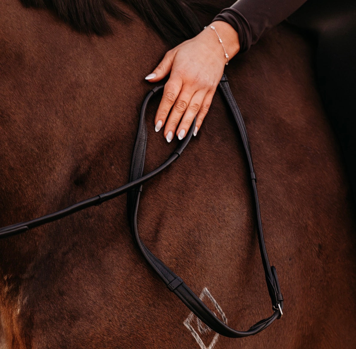 Padded nappa leather reins (flat) - black & brown (silver fittings)