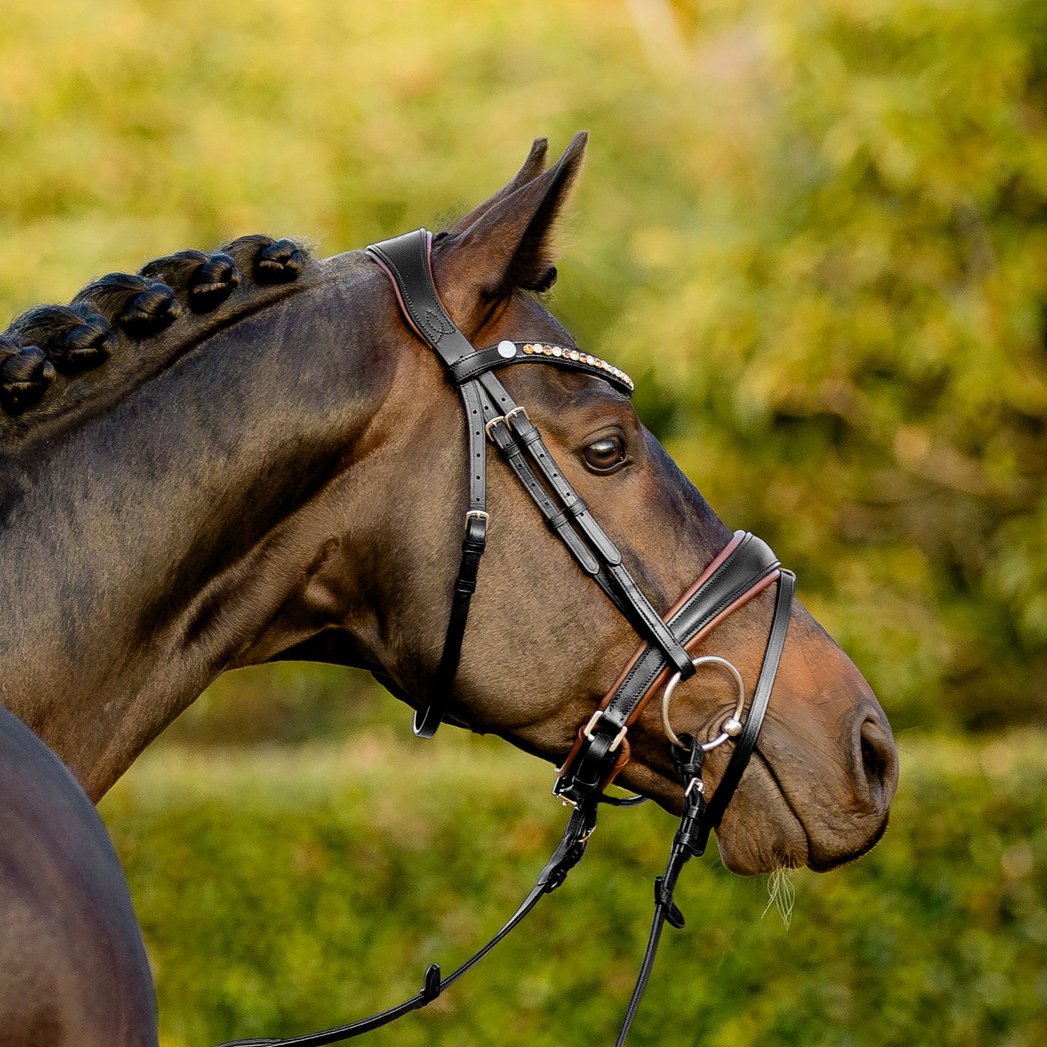 Pippa bridle