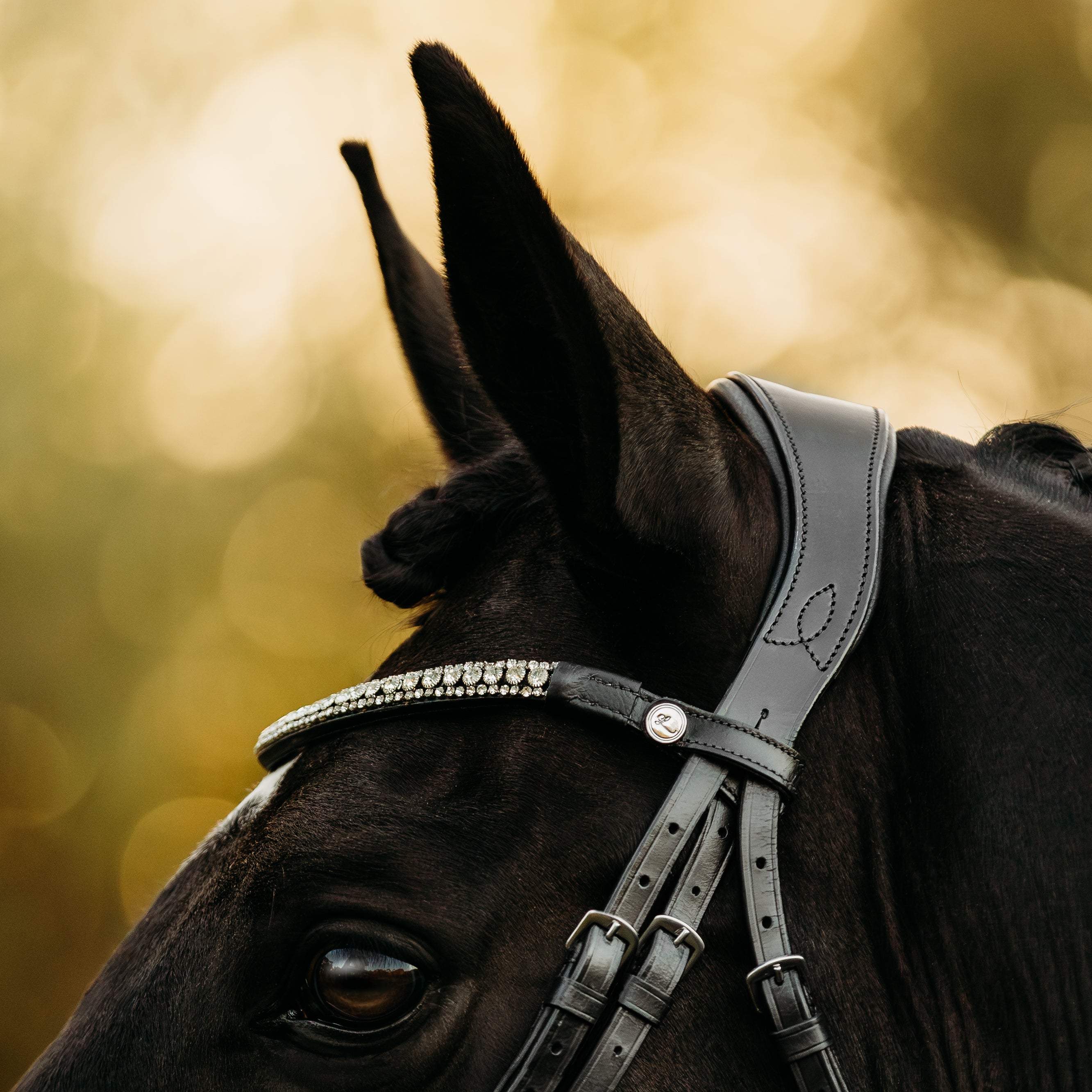 'Adeline' Leather Bridle (Cavesson)