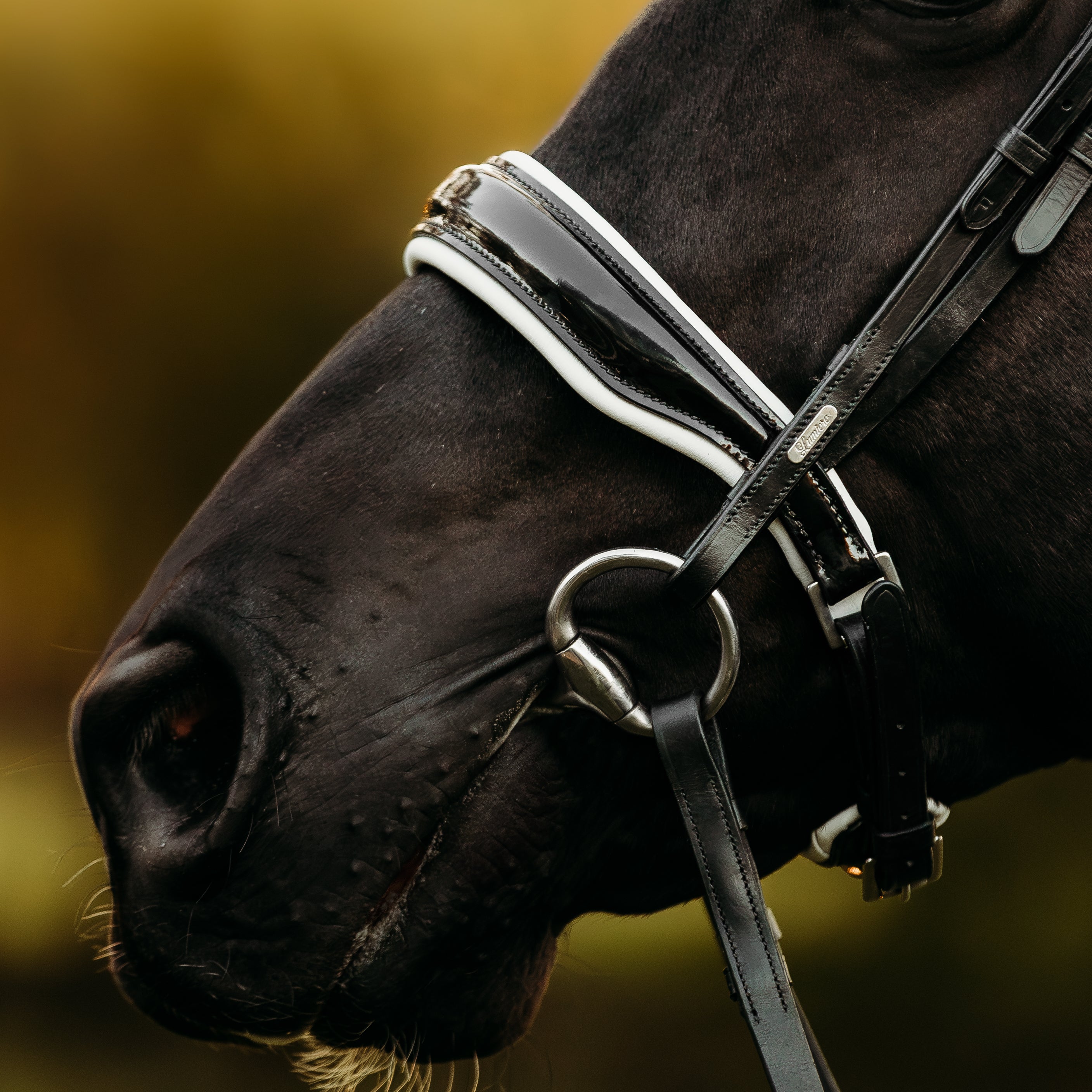 'Adeline' Leather Bridle (Cavesson)