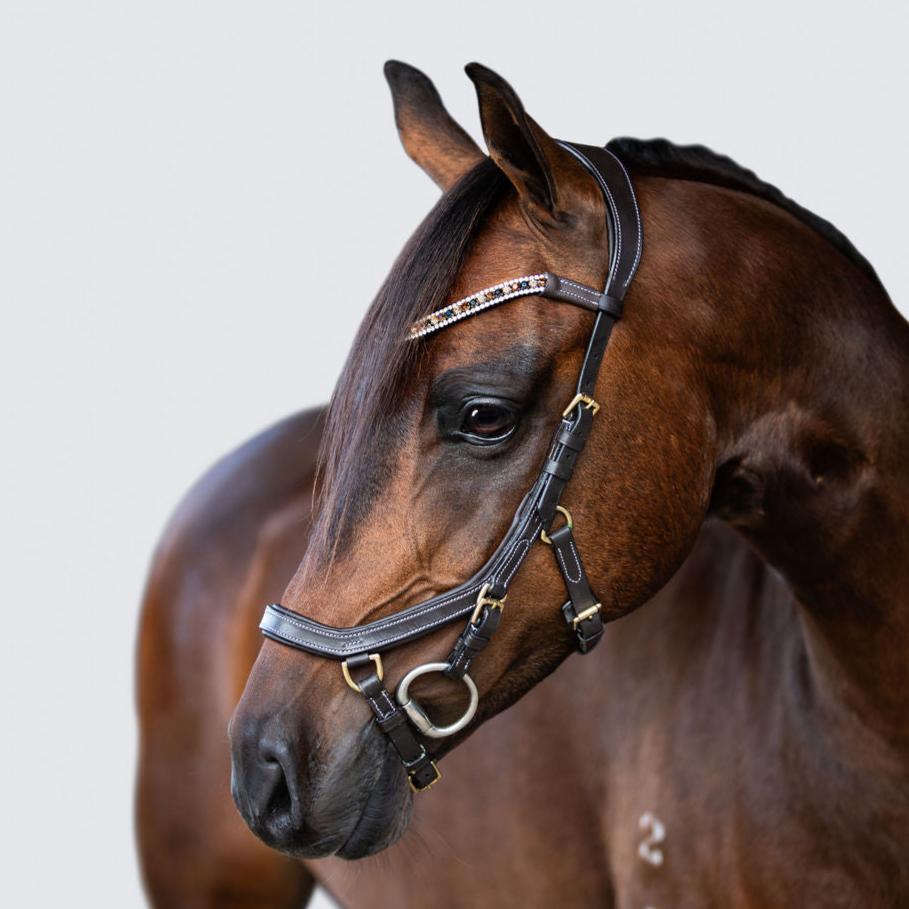'Amber' Anatomic Leather Bridle (Lumi Pony) Clearance - Lumiere Equestrian