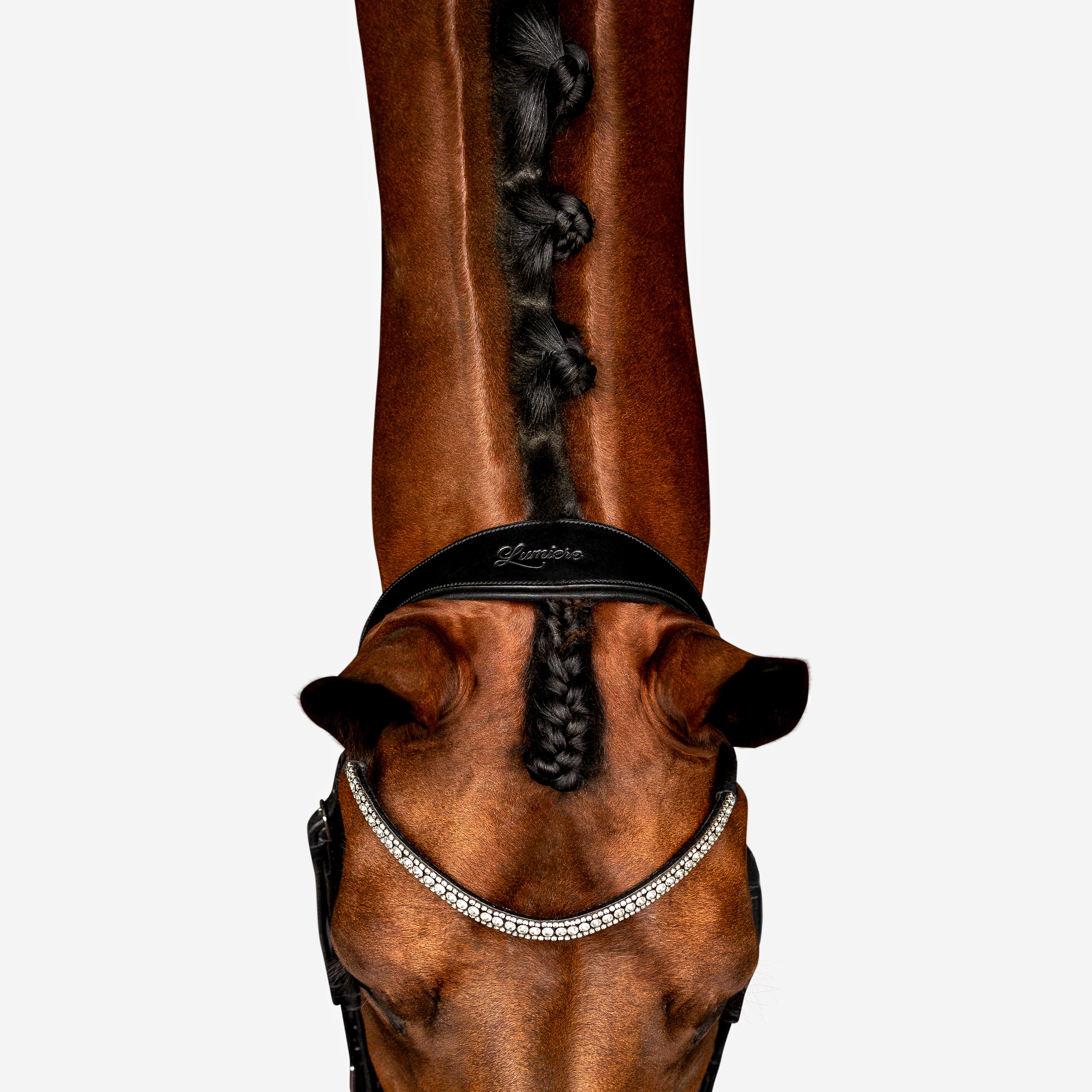 'Amie' Flat Leather Bridle (Hanoverian) - Lumiere Equestrian