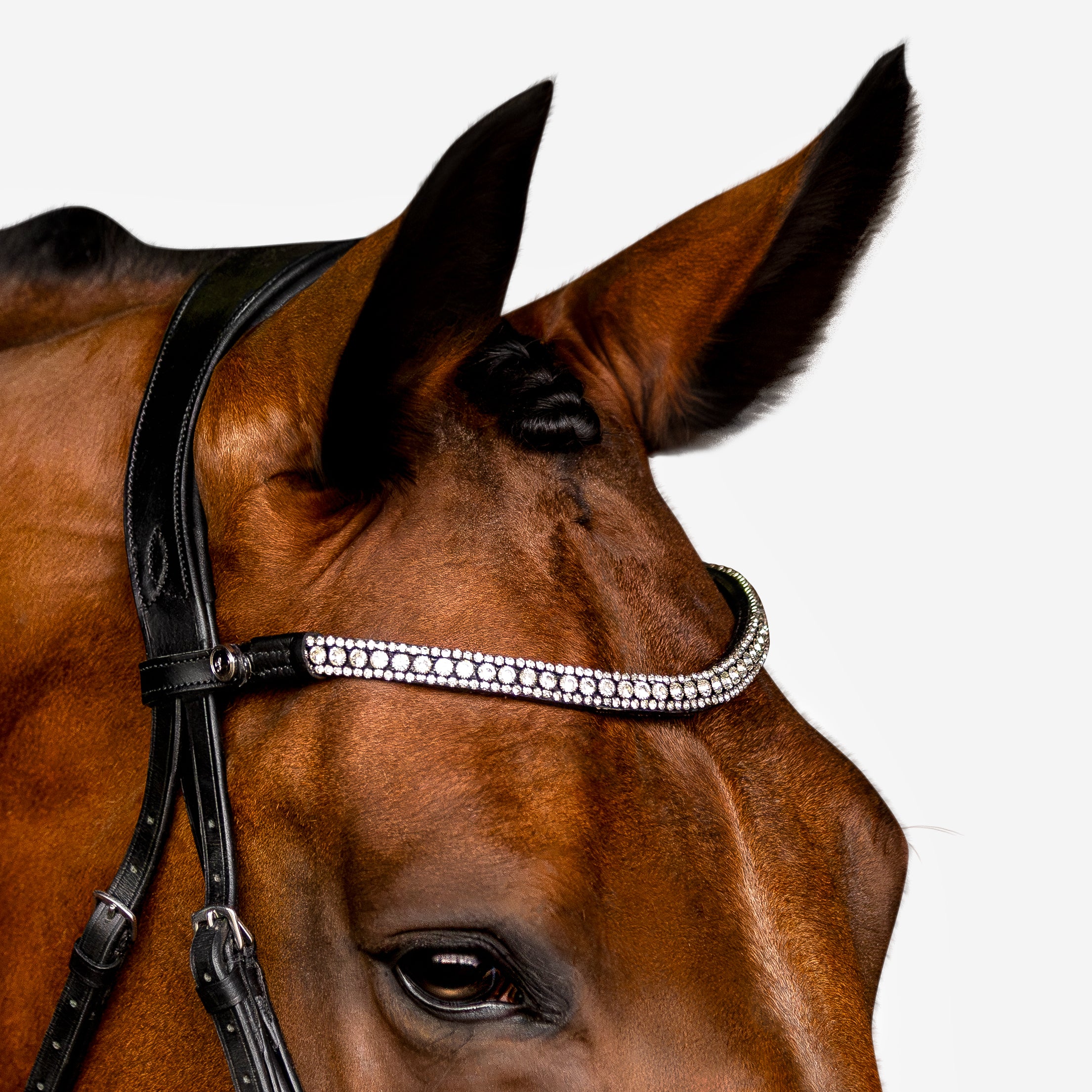 'Amie' Flat Leather Bridle (Hanoverian) - Lumiere Equestrian