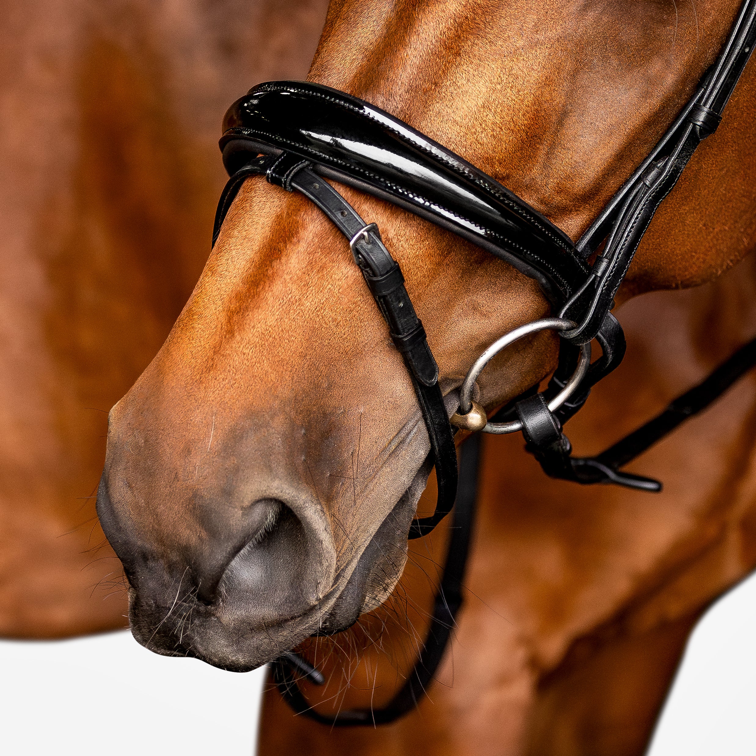 'Amie' Flat Leather Bridle (Hanoverian) - Lumiere Equestrian