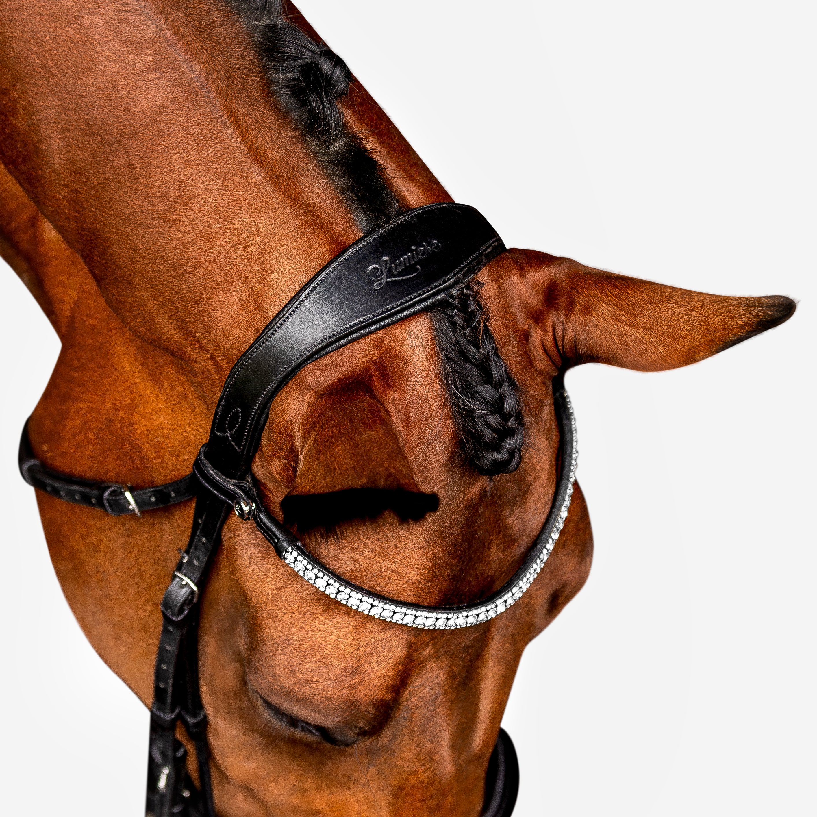 'Amie' Flat Leather Bridle (Hanoverian) - Lumiere Equestrian