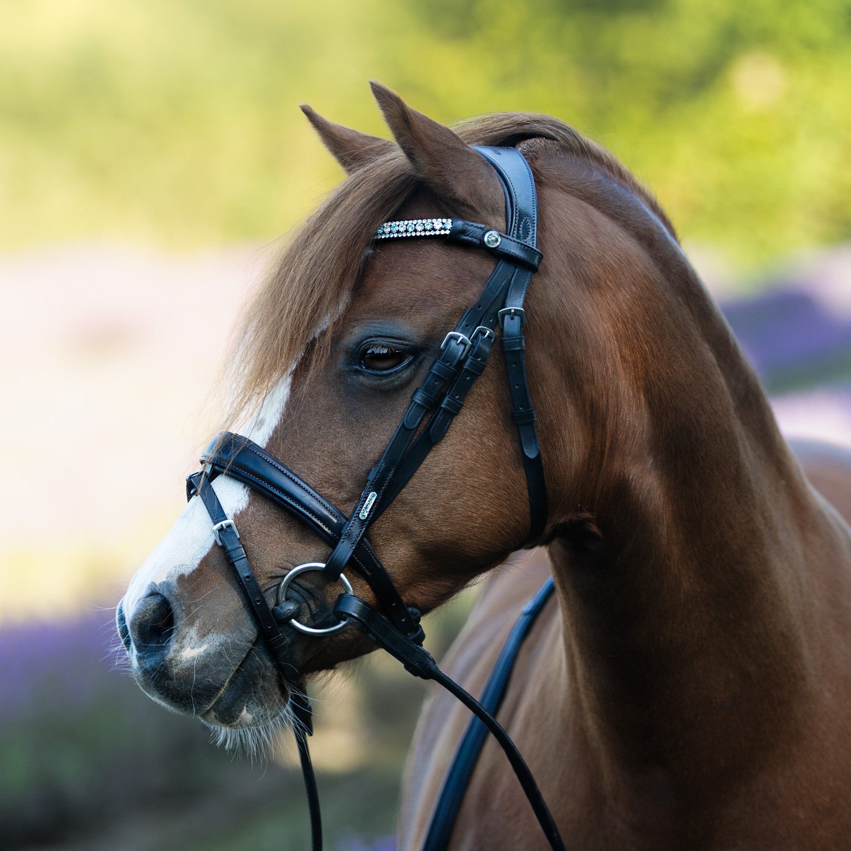 'Anastasia' leather bridle (convertible) (Lumi Pony) - Lumiere Equestrian
